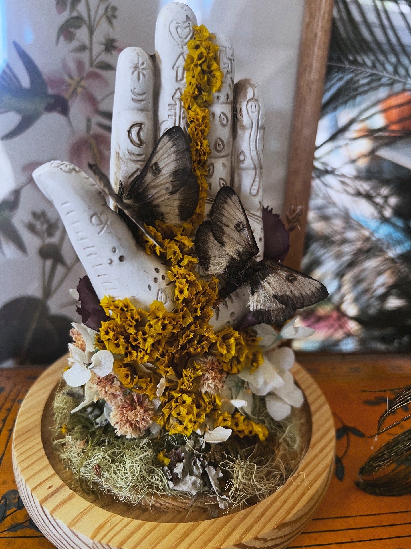 “Hiladora” Moth Oddities Witchy Taxidermy Entomology Glass Dome Artwork
