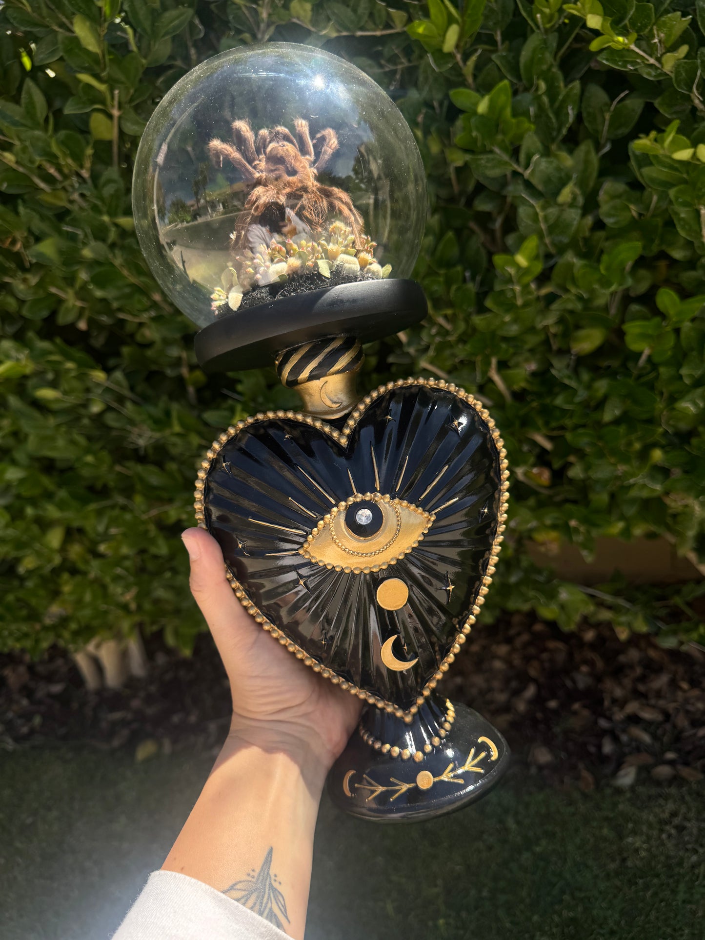 Ramona Tarantual Spider Ethereal Dark Academia Gothic Glass Dome Artwork