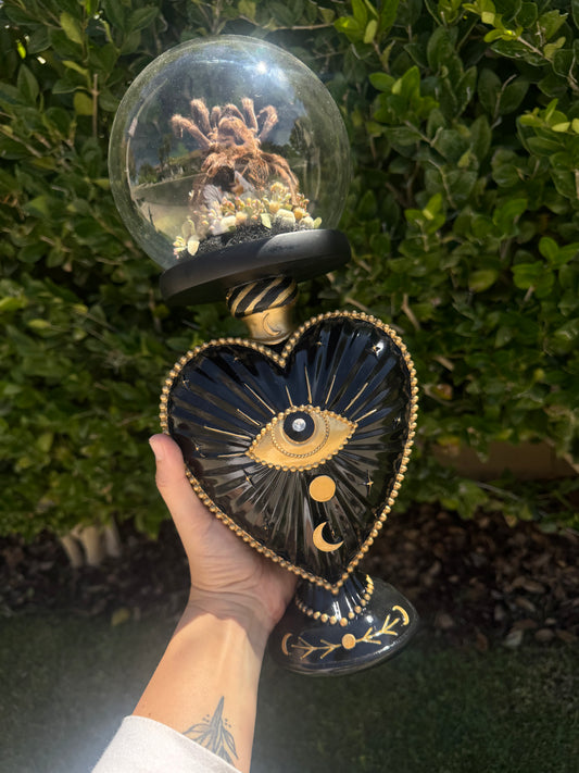 Ramona Tarantual Spider Ethereal Dark Academia Gothic Glass Dome Artwork