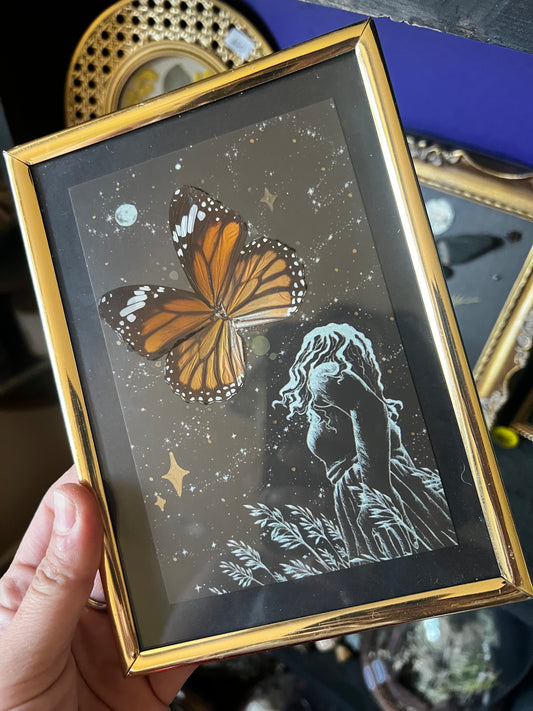 Framed Starry Sky Night Butterfly Wing Entomology Art