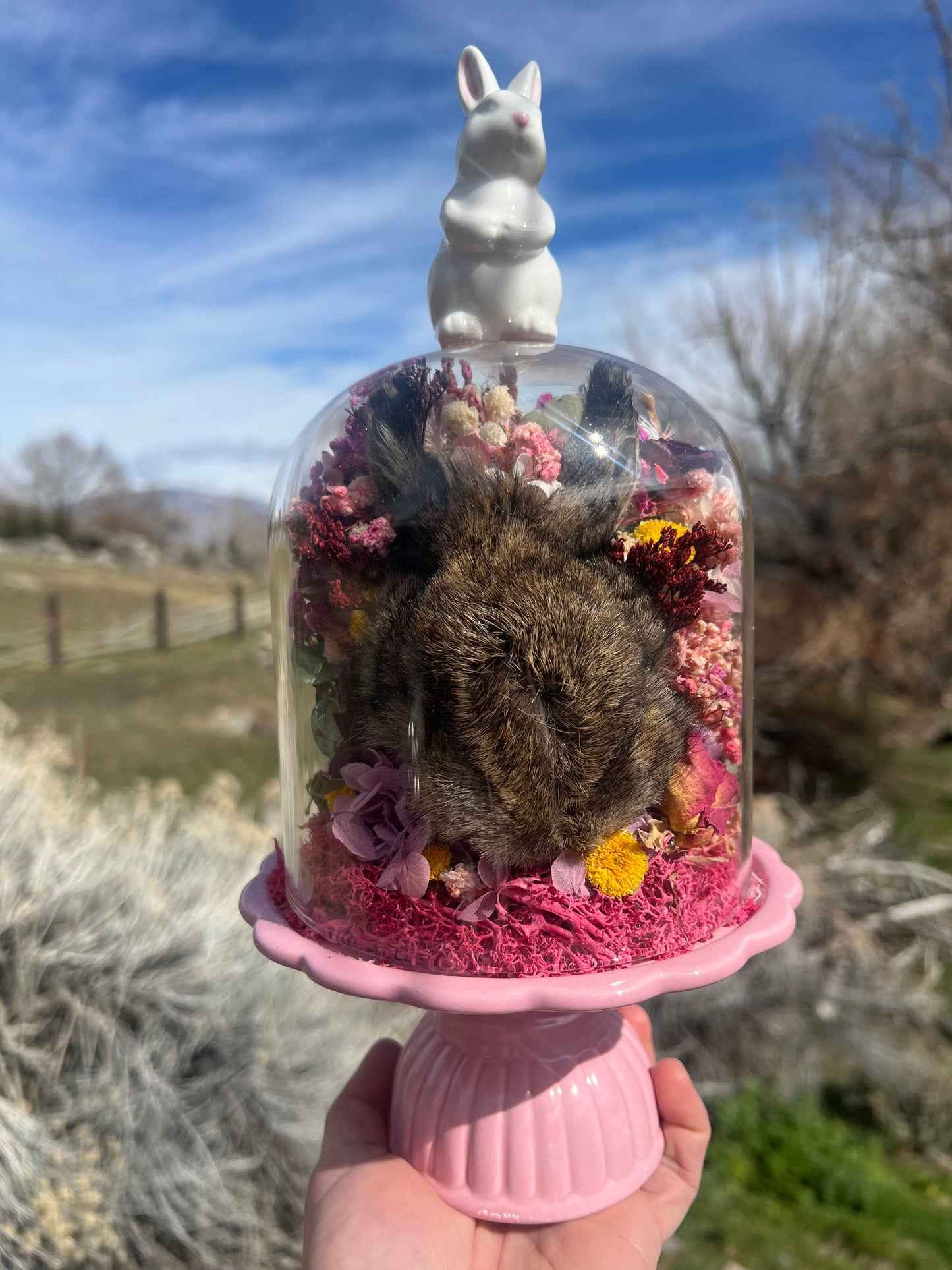Primrose Rabbit Bunny Head Botanical Dried Flower Pink Spring Oddities Taxidermy Glass Cloche Dome Artwork