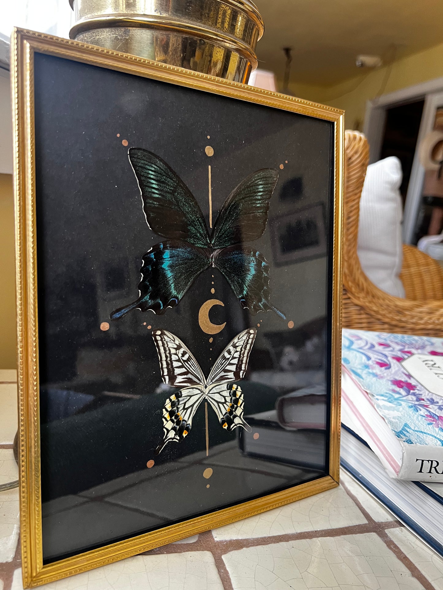 Celestial Vintage Metal Frame Butterfly Entomology Artwork