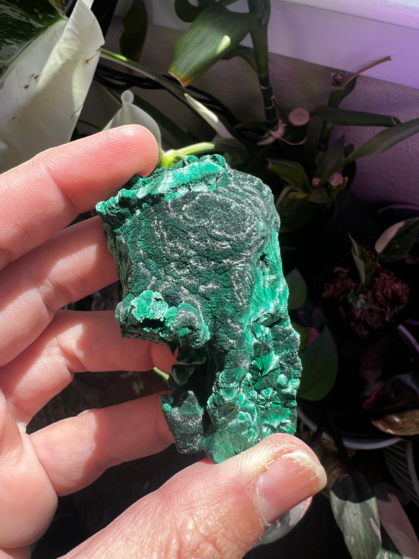 Botryoidal Velvet Fibrous Malachite #B