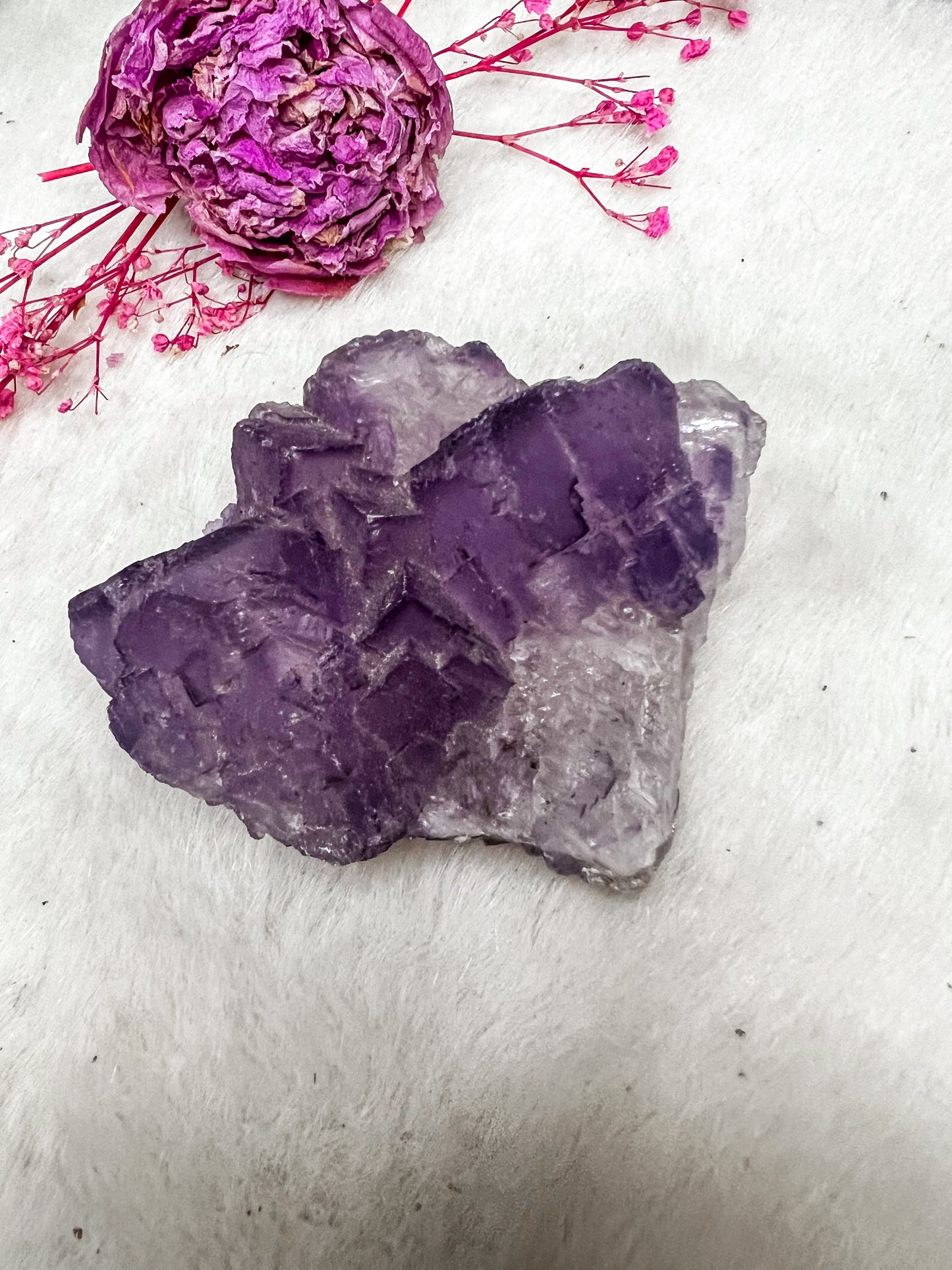 Muzquiz Fluorite #1