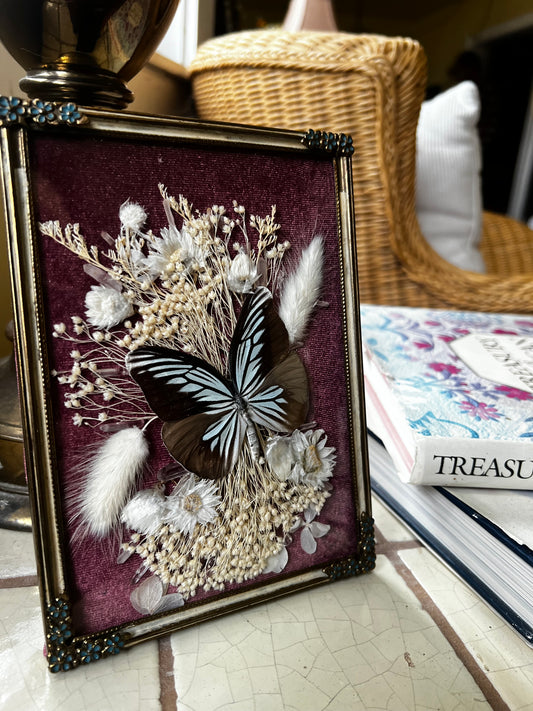 Cottagecore Style Framed Butterfly in Bubble Glass Frame