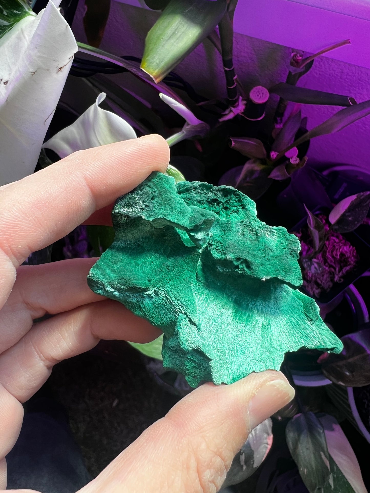 Botryoidal Velvet Fibrous Malachite #E