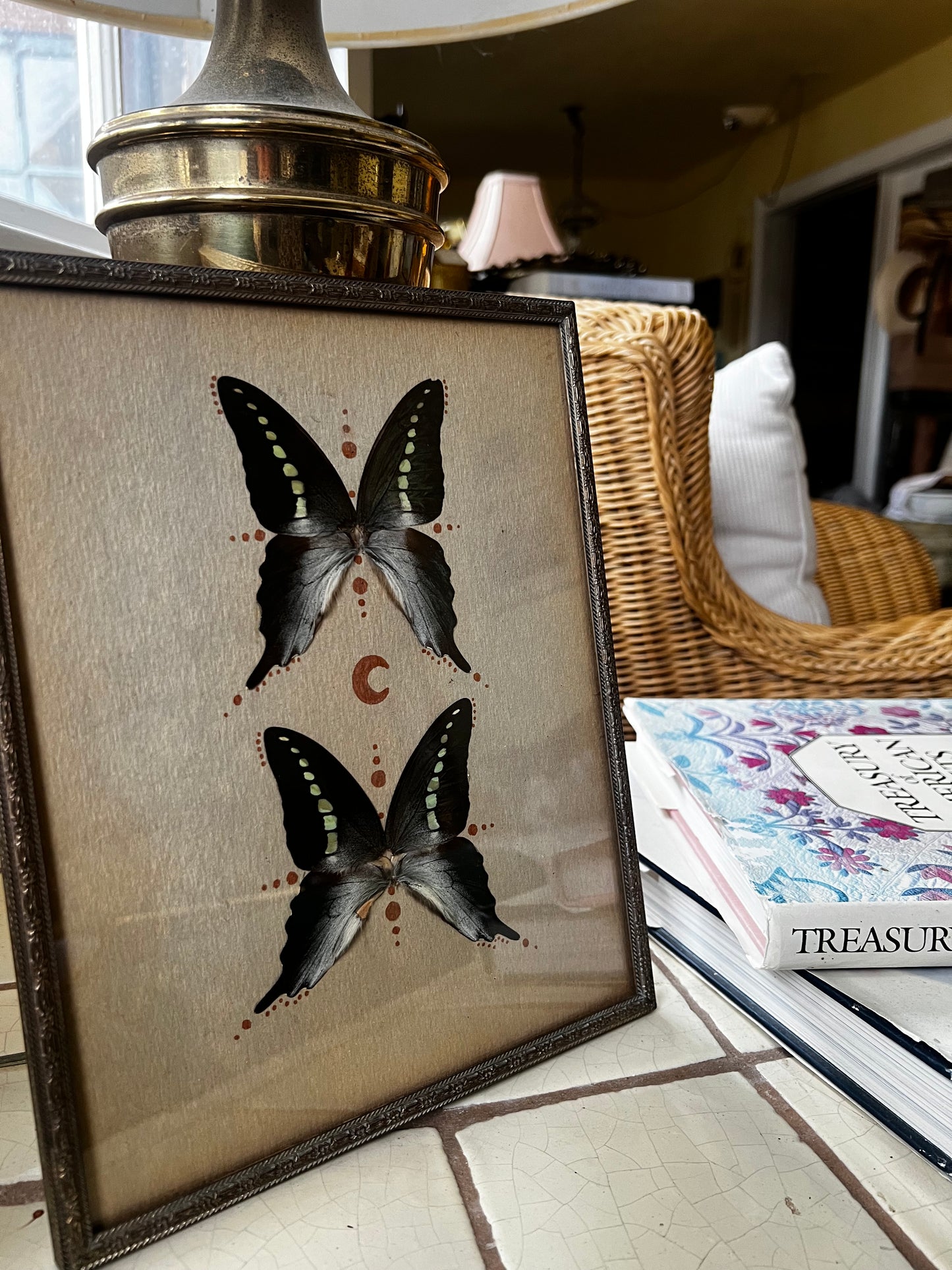 Vintage Metal Framed Butterfly Entomology Celestial Artwork