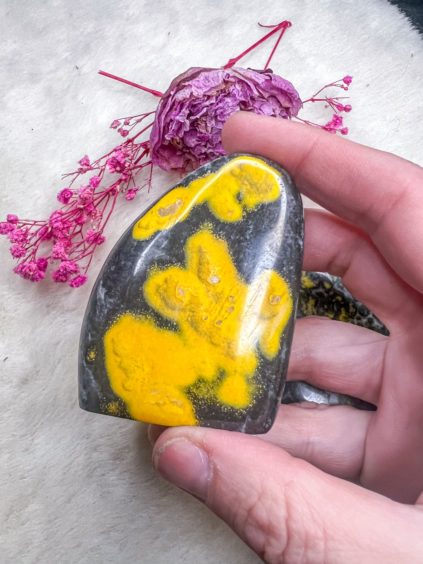 Bumblebee Jasper Freeforms