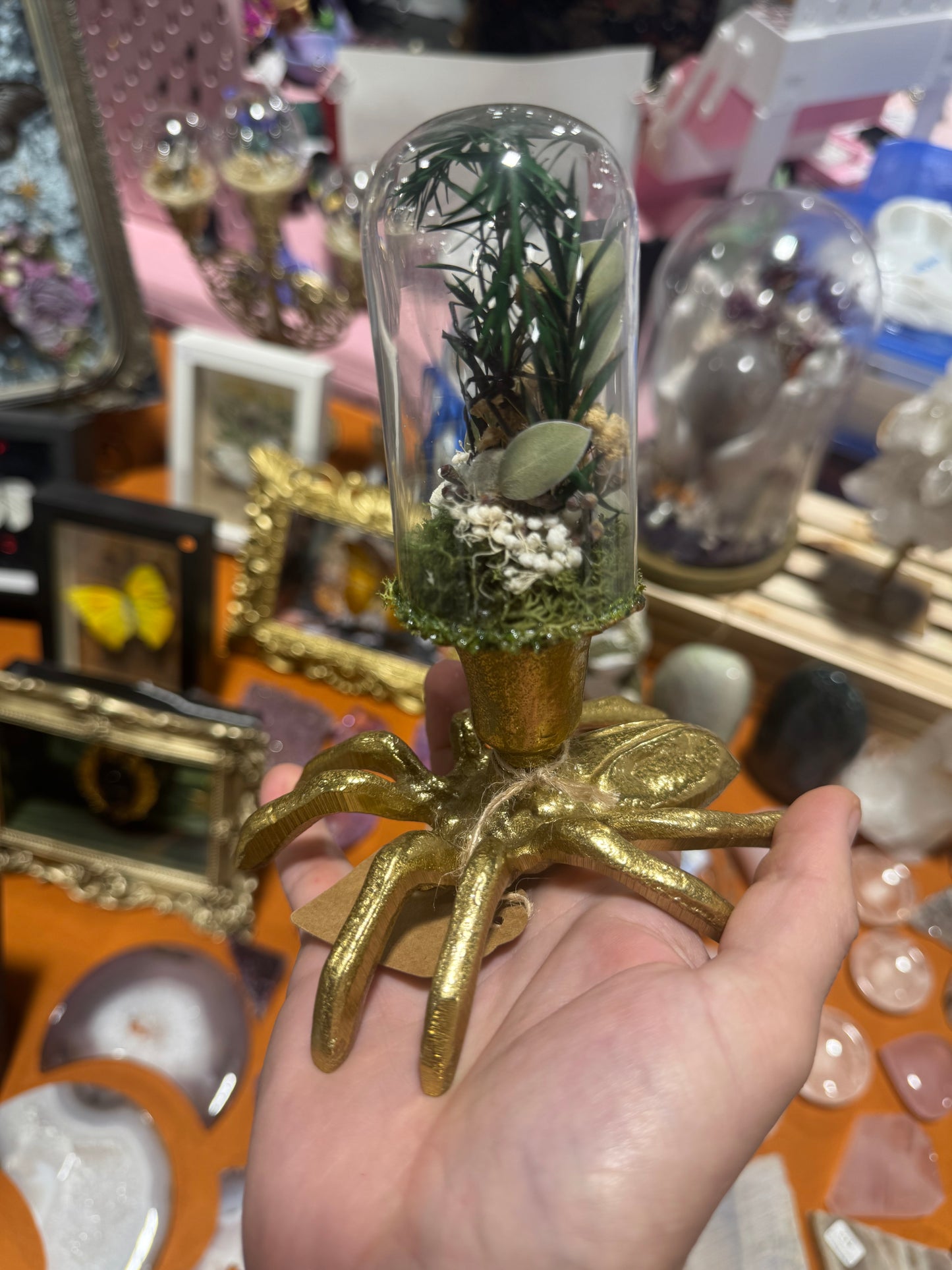 Natasha Black Widow Spider Floral Botanical Glass Dome Artwork