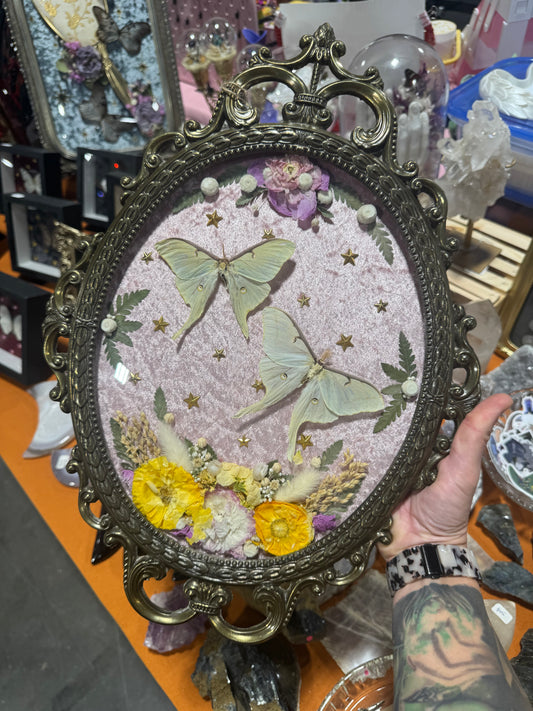Betsy Luna Moth Celestial Whimsical Floral Vintage Bubble Glass Framed Artwork