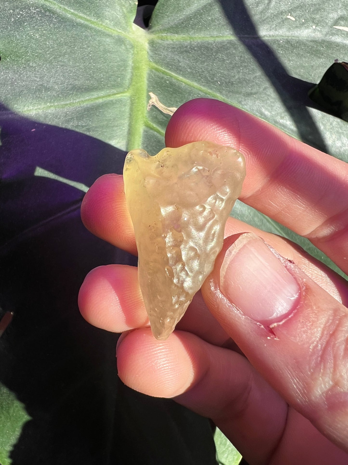 Libyan Desert Glass #B