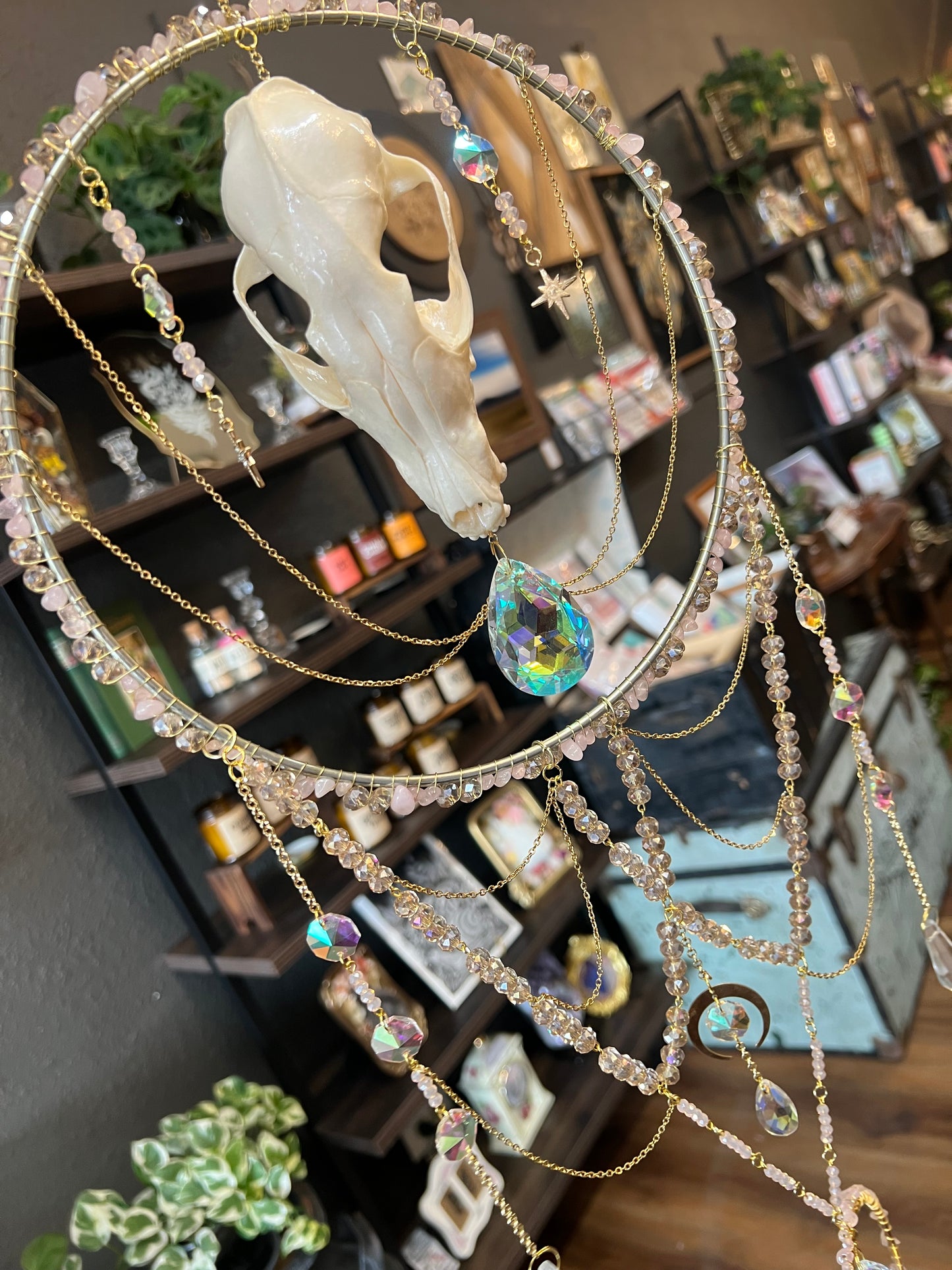 Elaris Iridescent Coyote Skull Celestial Mixed Media Taxidermy Oddities Suncatcher