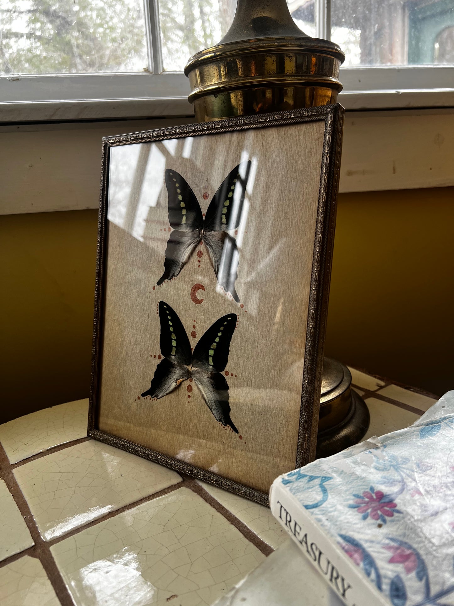 Vintage Metal Framed Butterfly Entomology Celestial Artwork