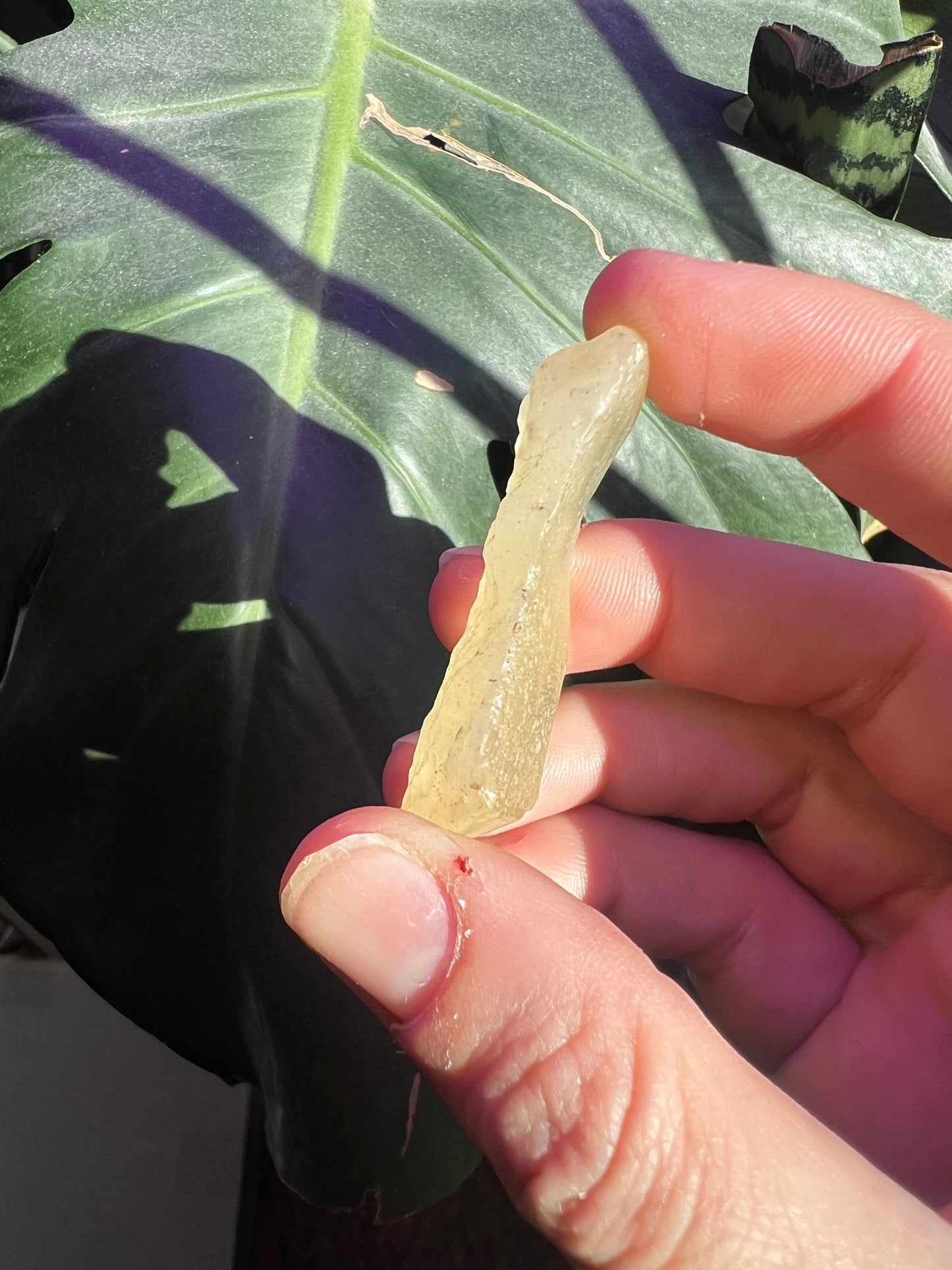 Libyan Desert Glass #A