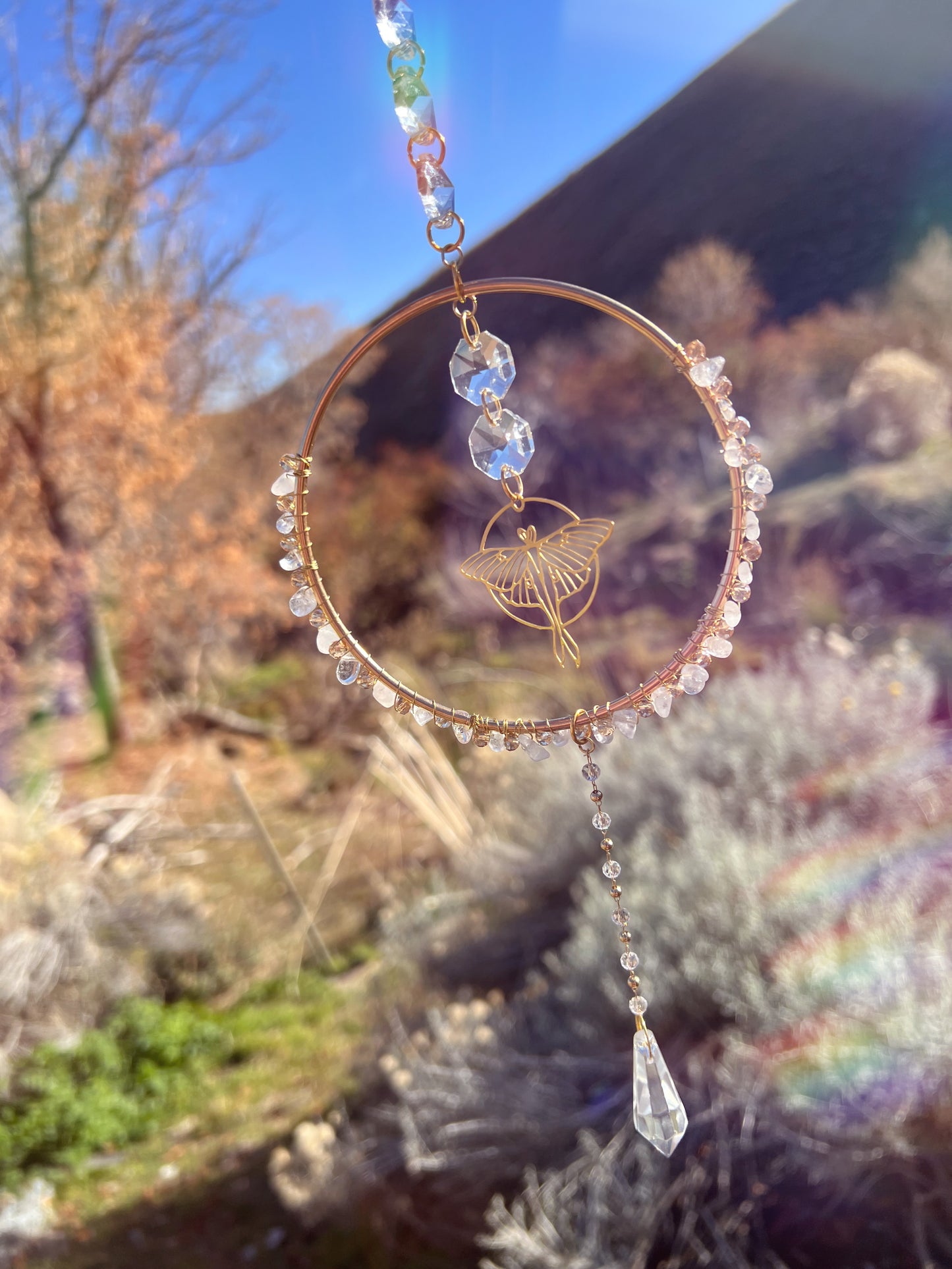 Gillian The Moonlit Moth Halo Suncatcher