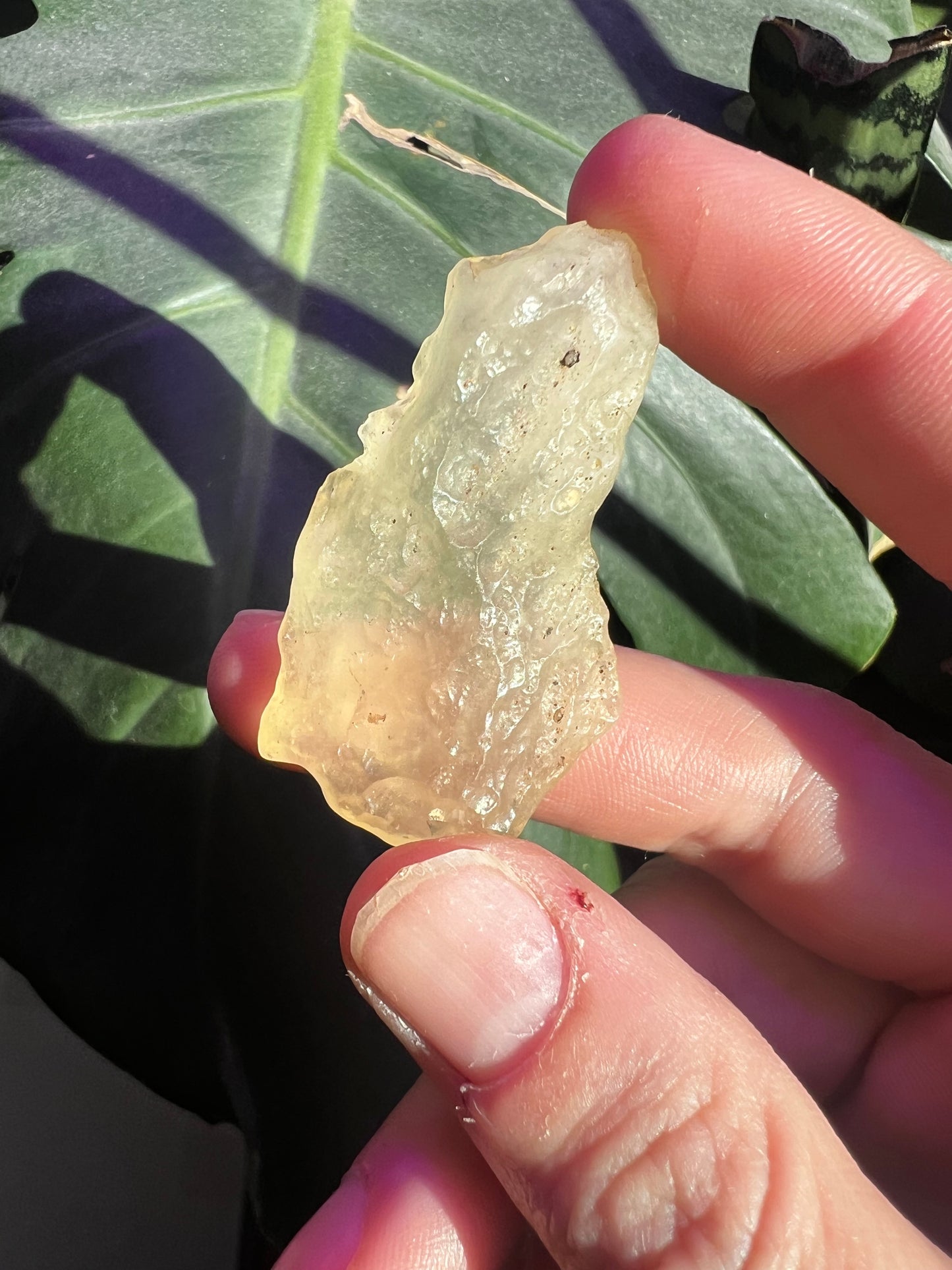 Libyan Desert Glass #A