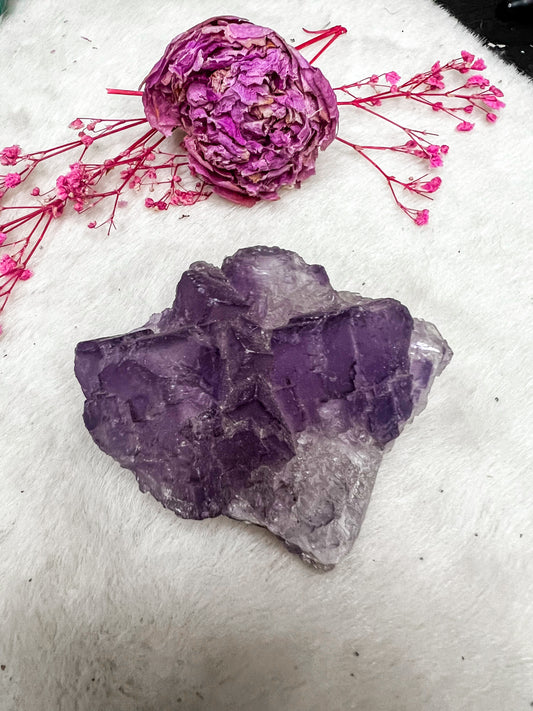 Muzquiz Fluorite #1