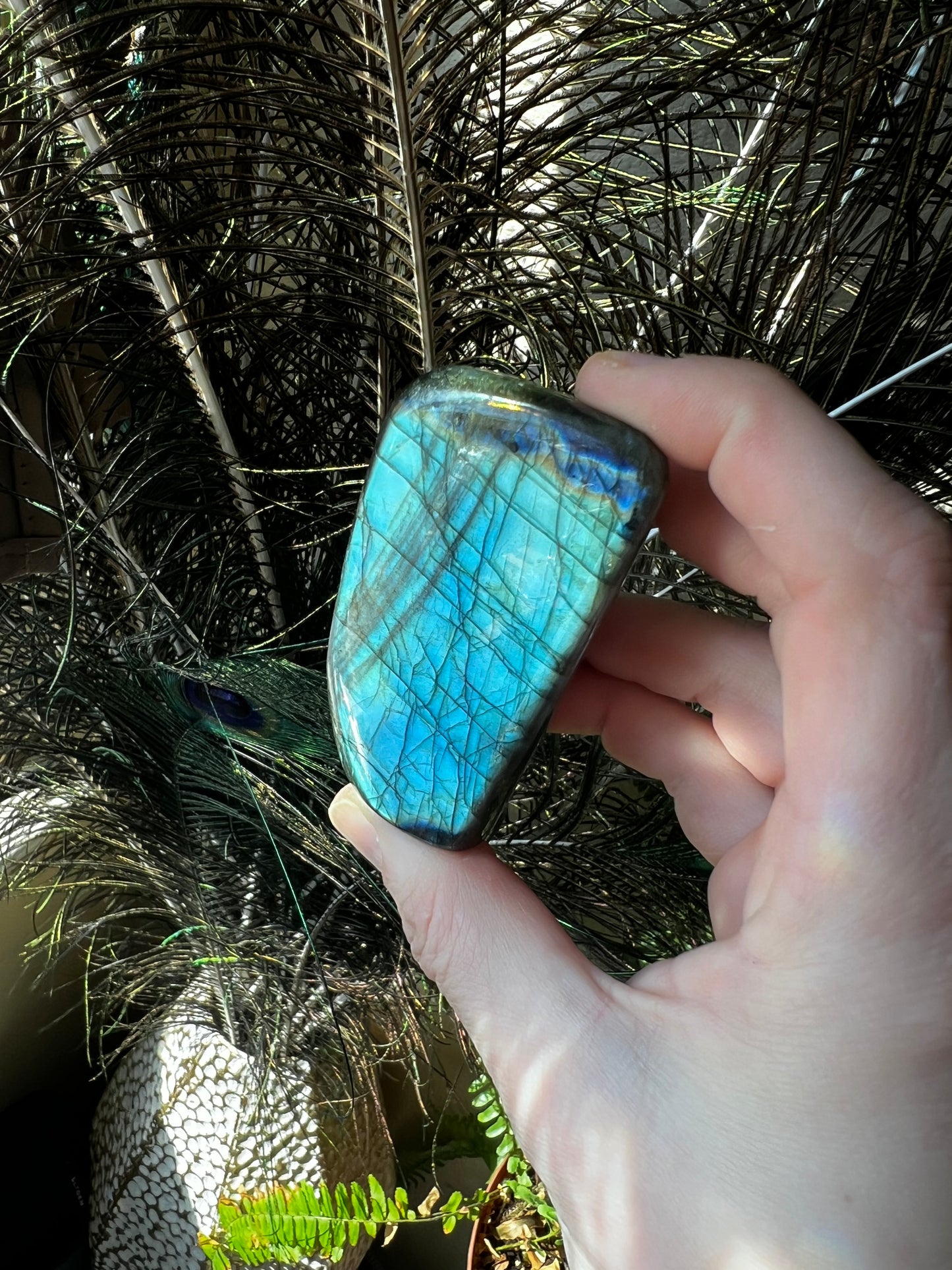 Labradorite Freeform #B