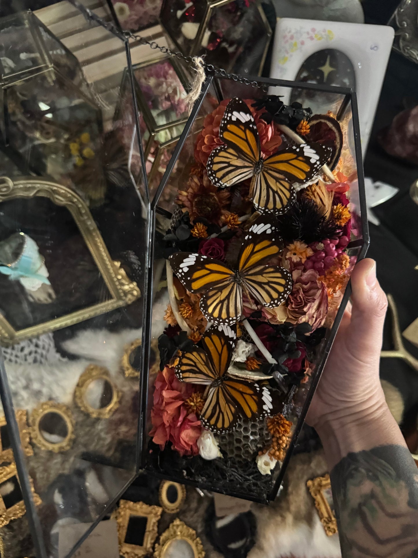 Selene Coffin Terrarium Entomology Insect Floral Spooky Season Oddities Artwork