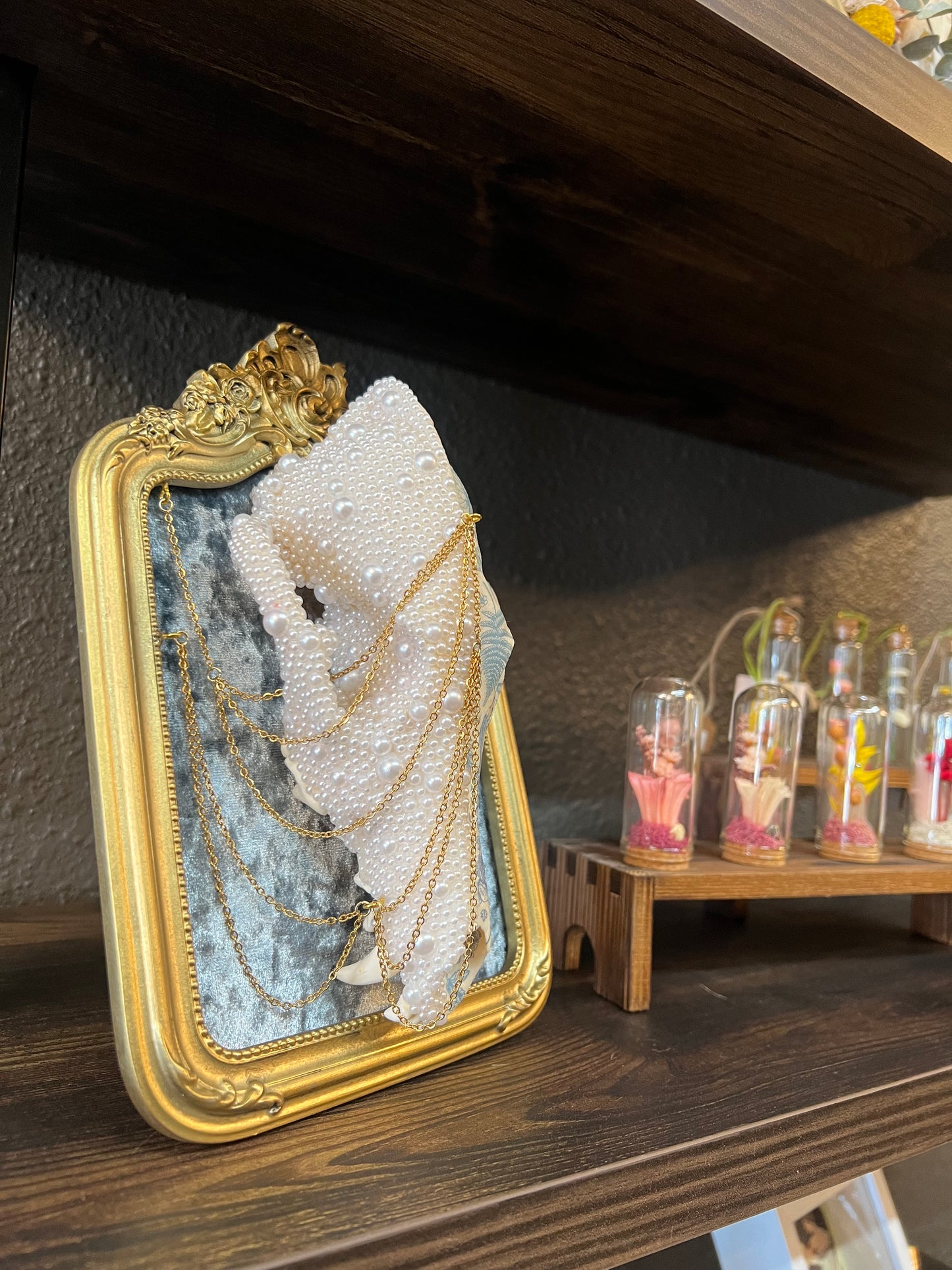 Ophelis Coyote Skull Faux Pearl Botanical Chained Gold Ornate Framed Oddities Taxidermy Artwork