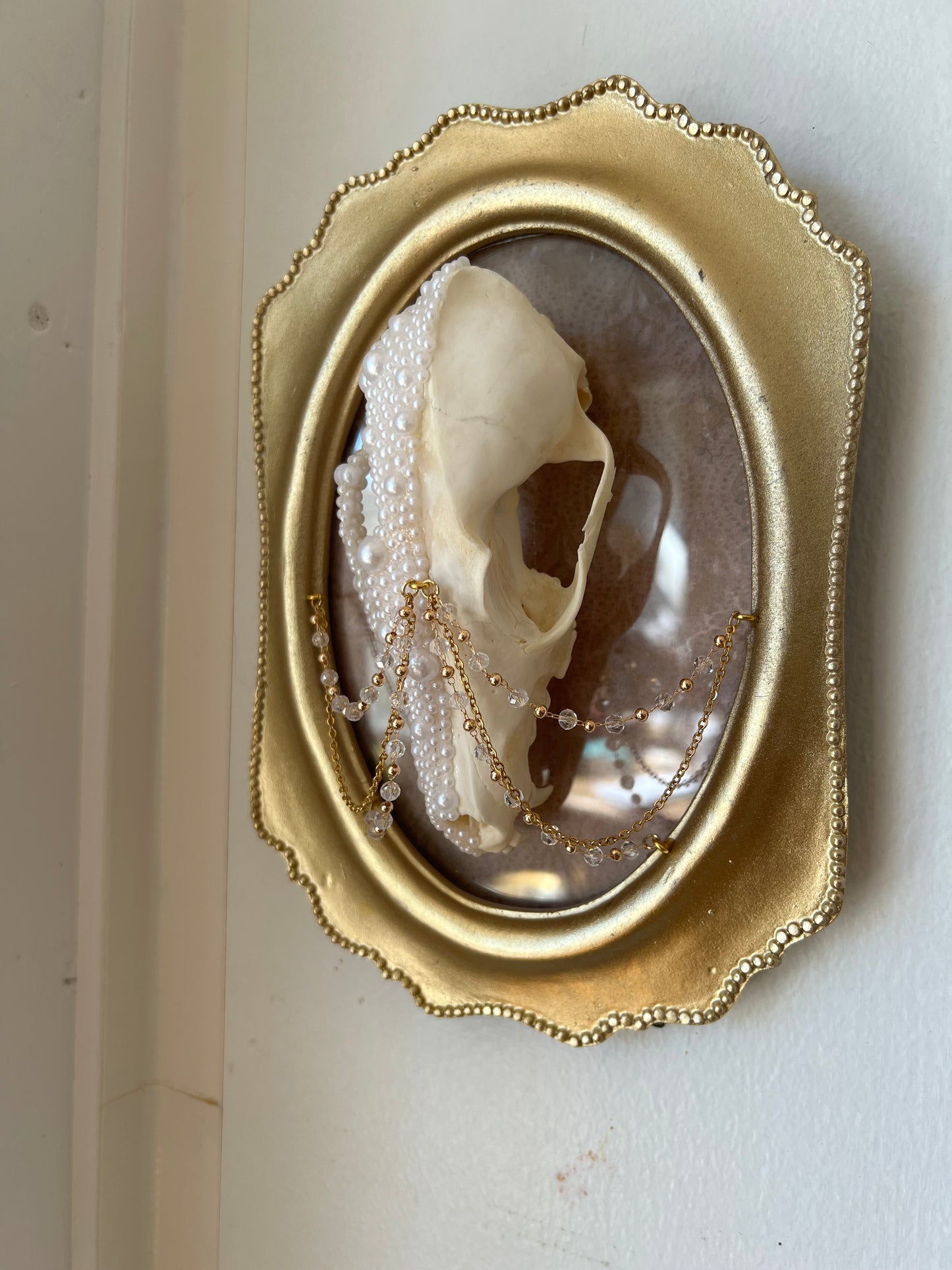 Delphine Fox Skull Faux Pearl Chained Framed Taxidermy Artwork