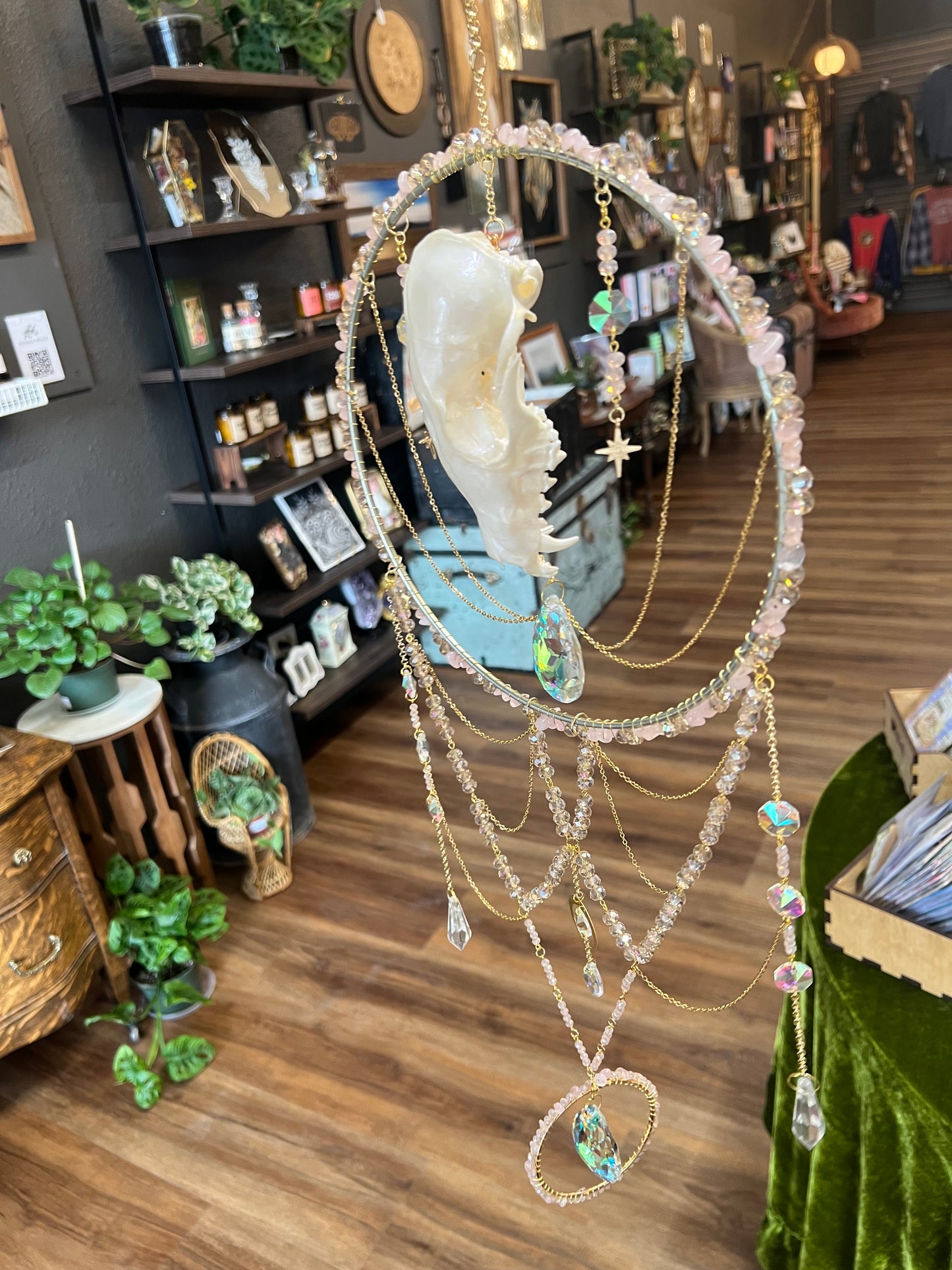 Elaris Iridescent Coyote Skull Celestial Mixed Media Taxidermy Oddities Suncatcher