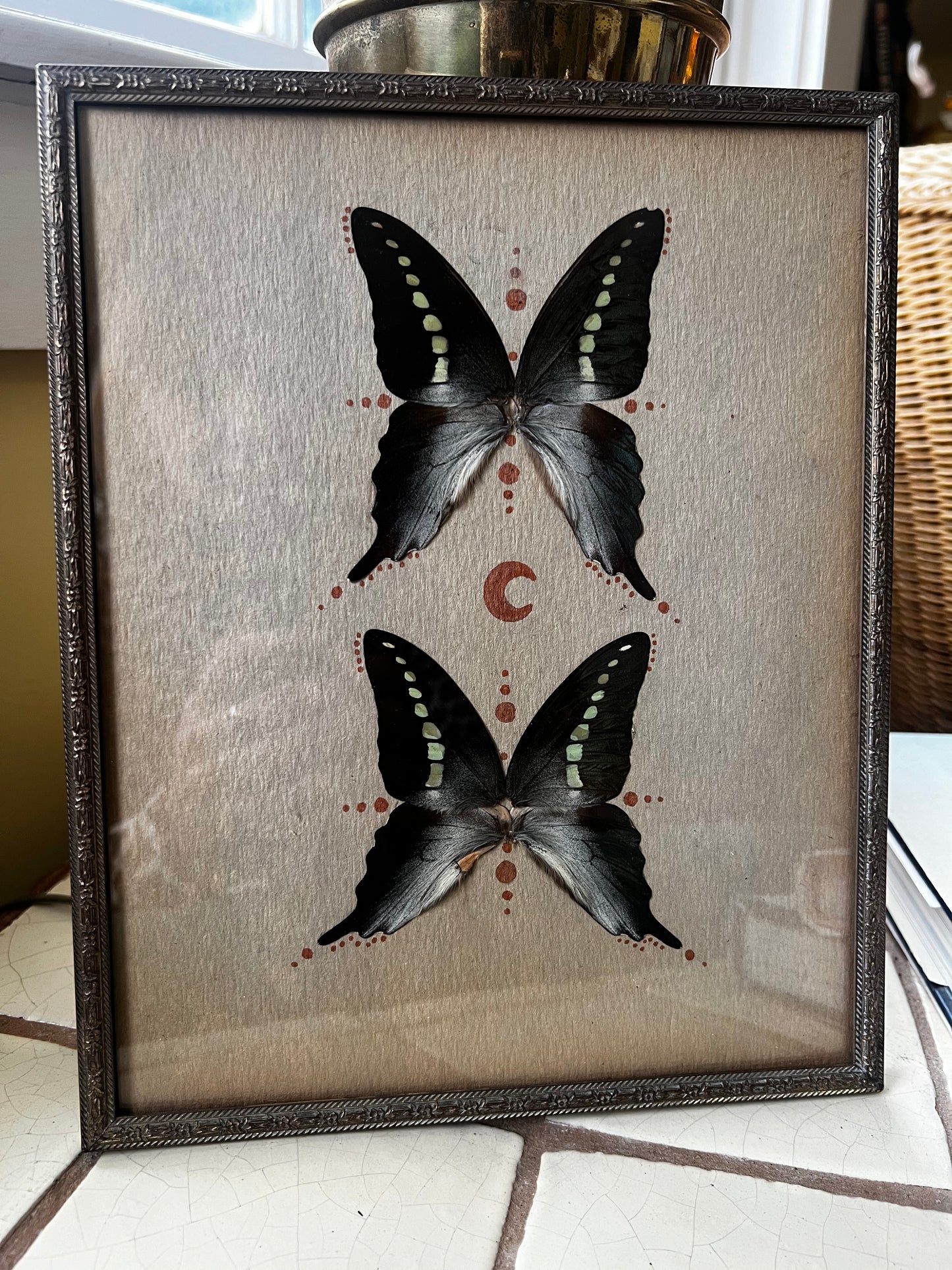 Vintage Metal Framed Butterfly Entomology Celestial Artwork