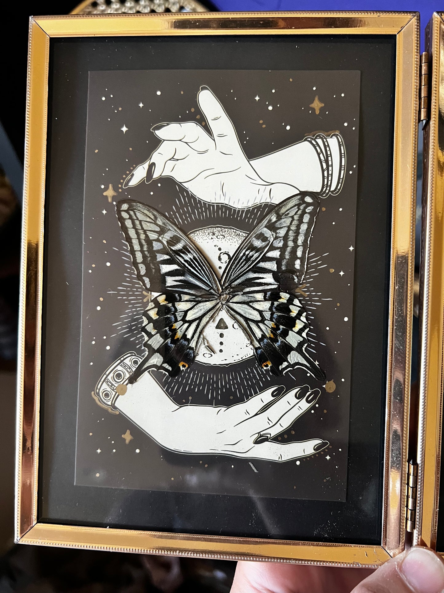 Double Framed Spiritual Art Swallowtail Butterfly Wing Entomology Art