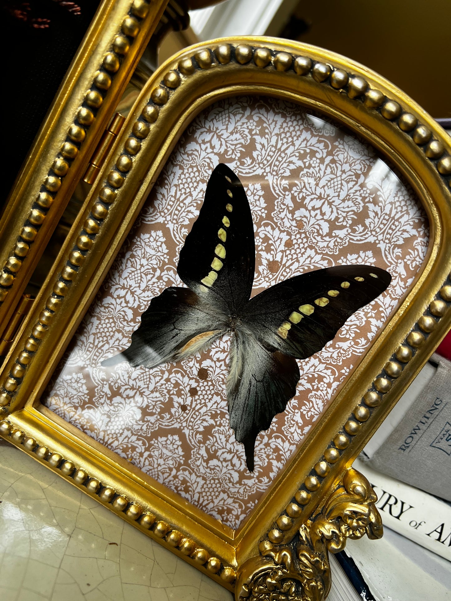 “Beatrice” Framed Rabbit Head Floral Butterfly Taxidermy Artwork