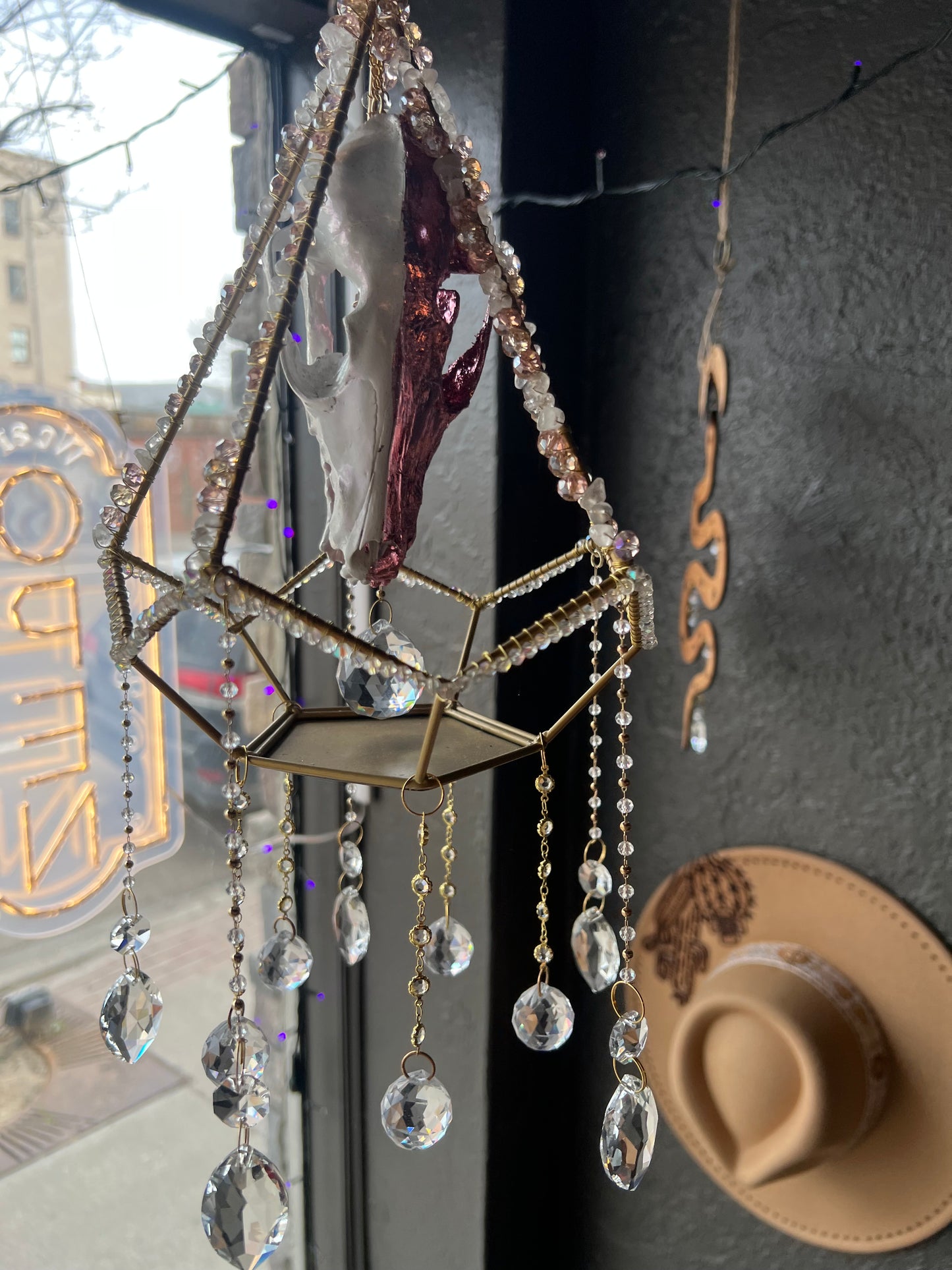 Althea Coyote Skull Mixed Media Taxidermy Oddities Geometric Crystal Suncatcher