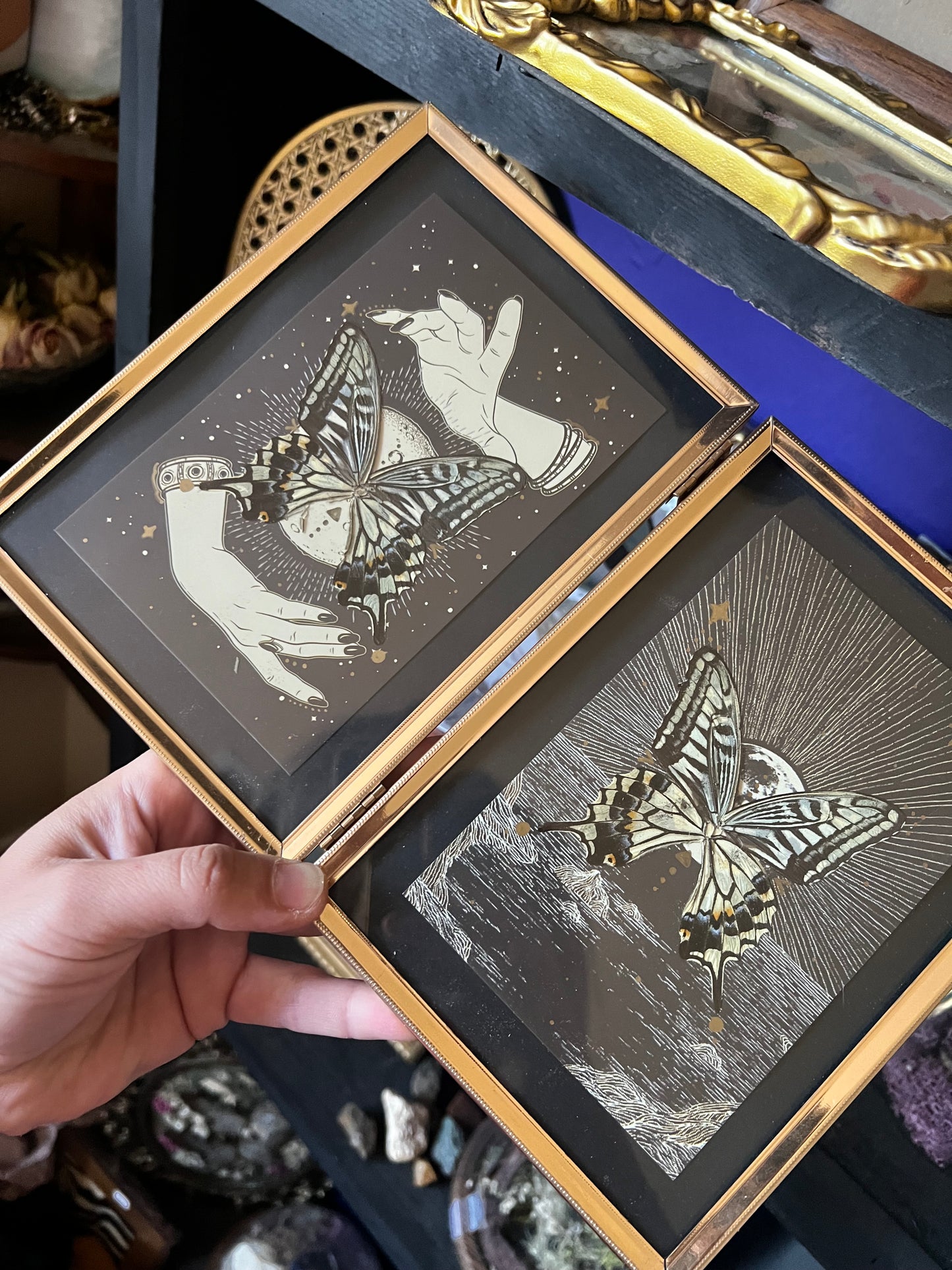 Double Framed Spiritual Art Swallowtail Butterfly Wing Entomology Art