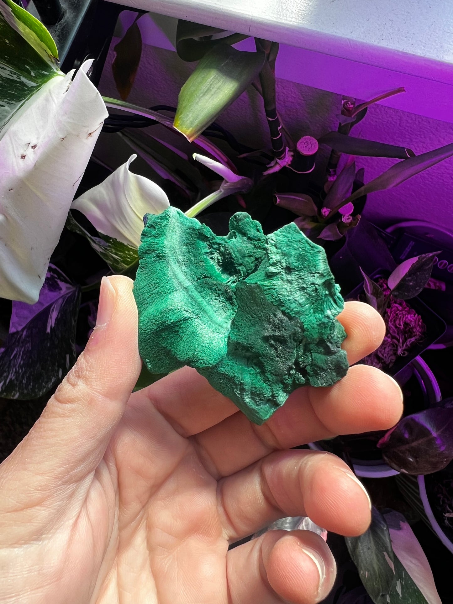 Botryoidal Velvet Fibrous Malachite #E