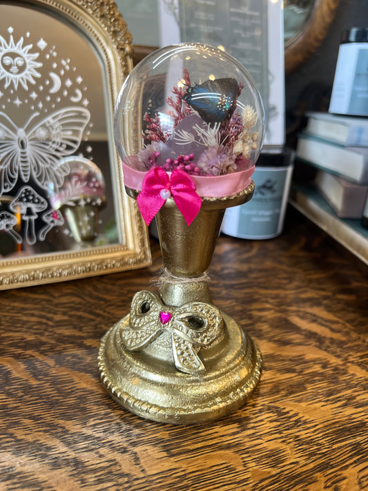 Gigi Butterfly Oddities Butterfly Insect Dried Floral Pink Glass Dome Artwork