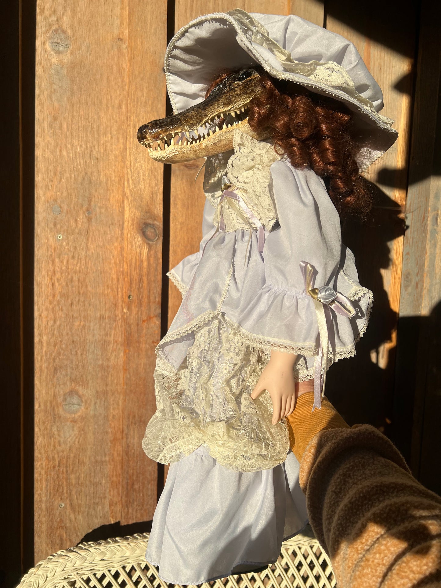 Peggy Sue Alligator Head Doll Taxidermy