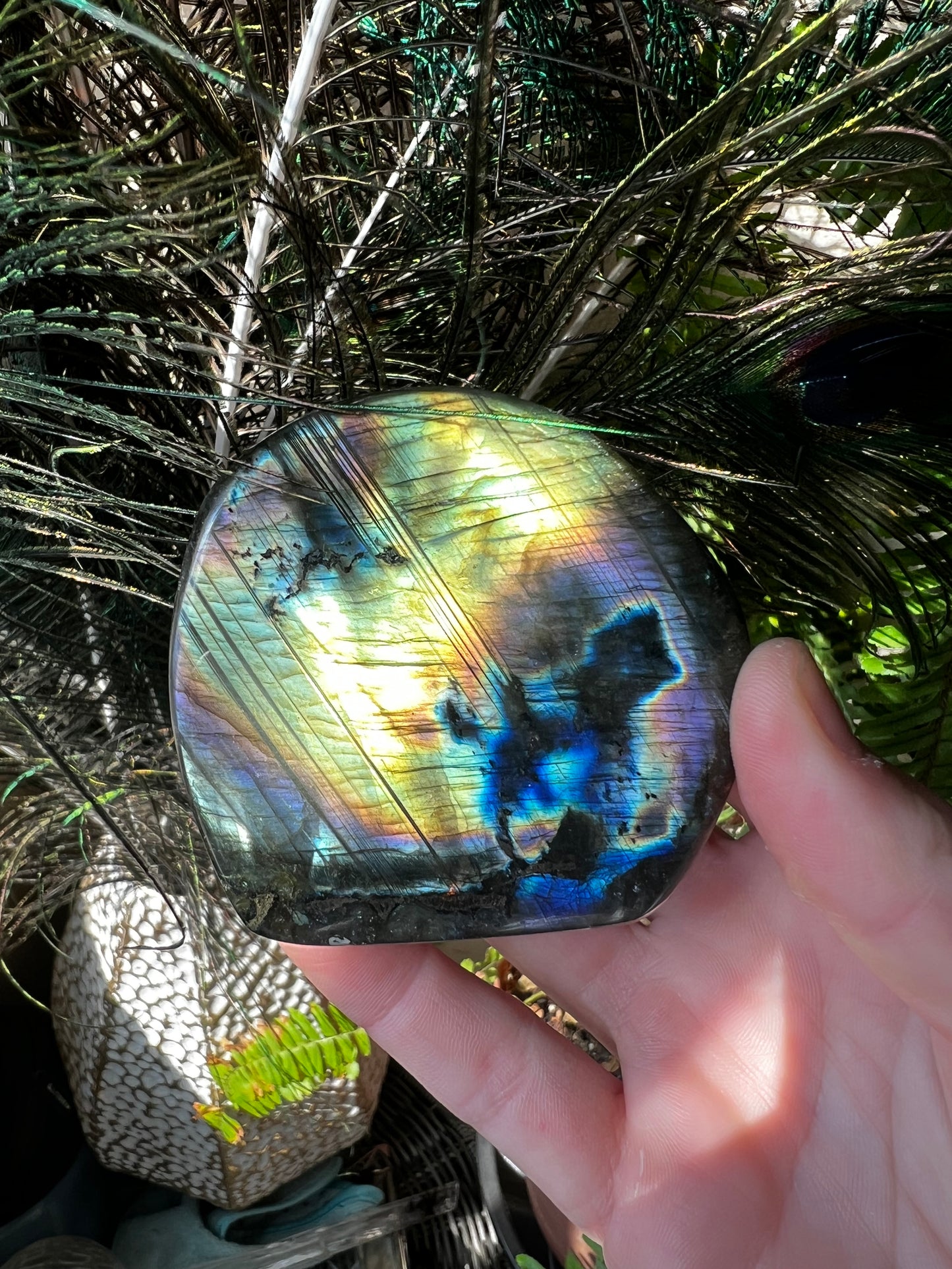 Labradorite Freeform #A