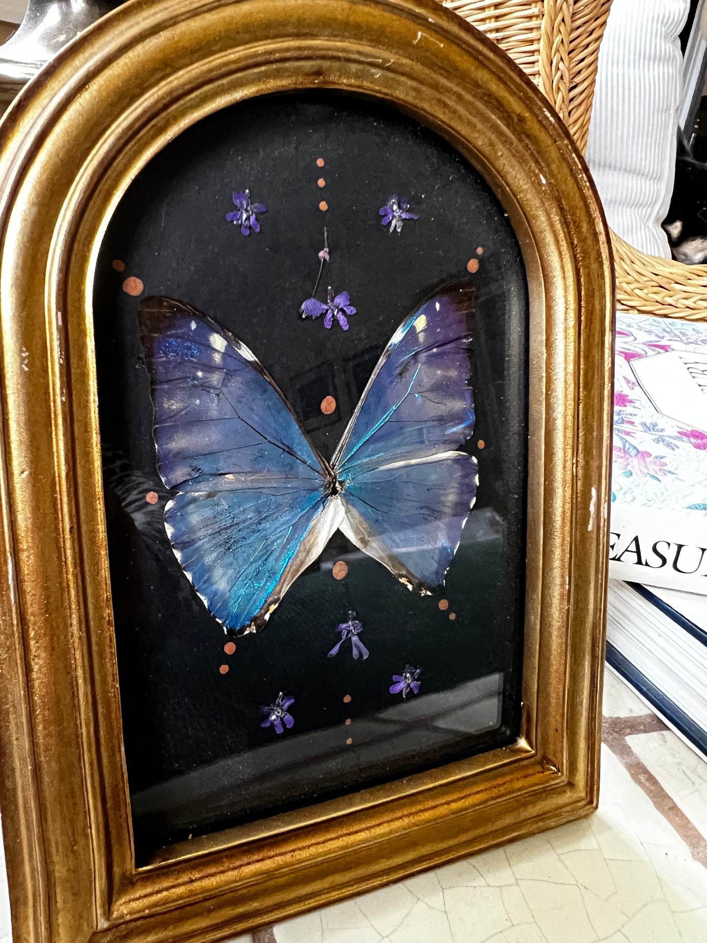 Vintage Style Framed Morpho Butterfly Artwork