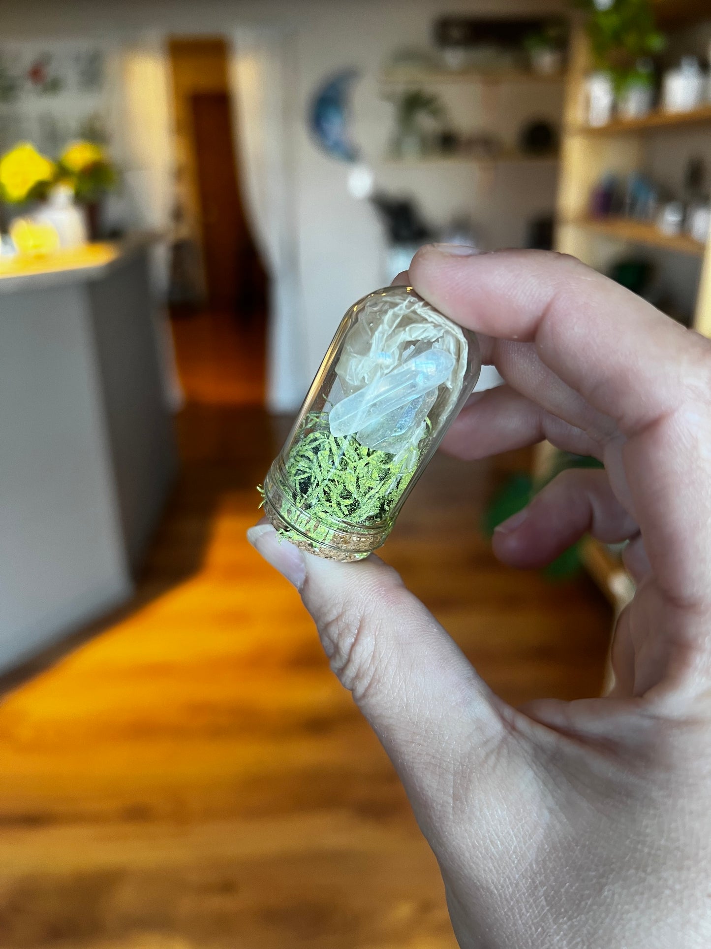 Small Snake Shed Curio Jar with Crystals