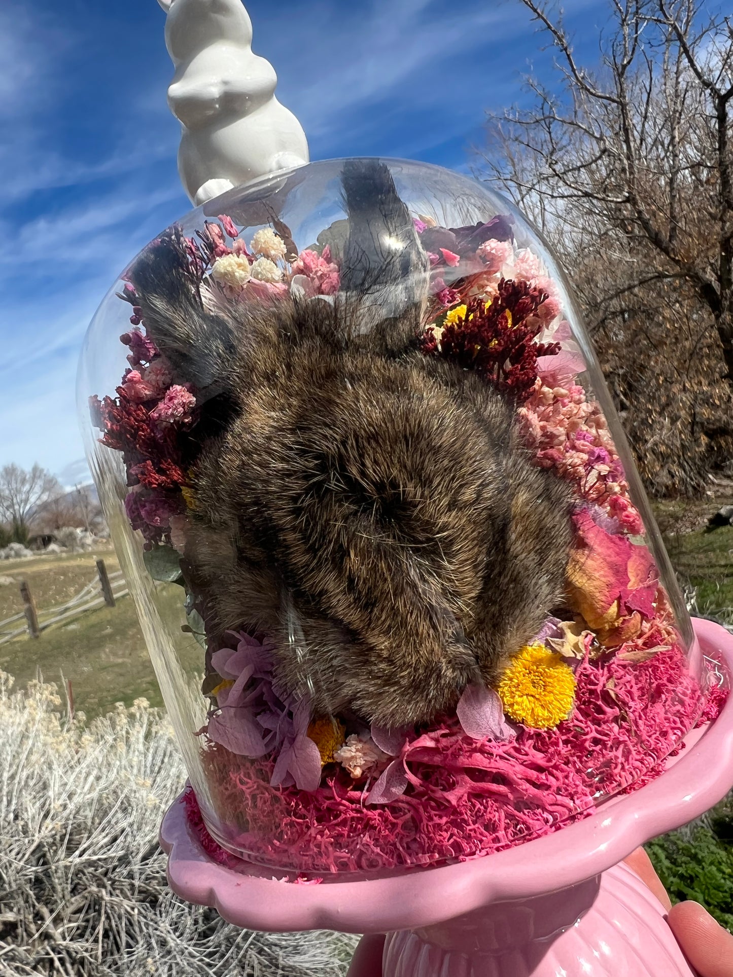 Primrose Rabbit Bunny Head Botanical Dried Flower Pink Spring Oddities Taxidermy Glass Cloche Dome Artwork