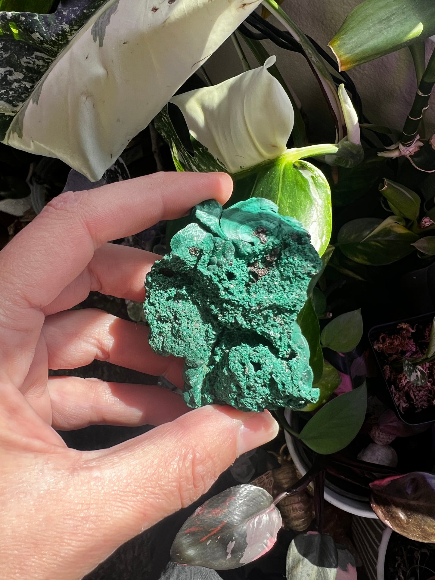 Botryoidal Velvet Fibrous Malachite #A