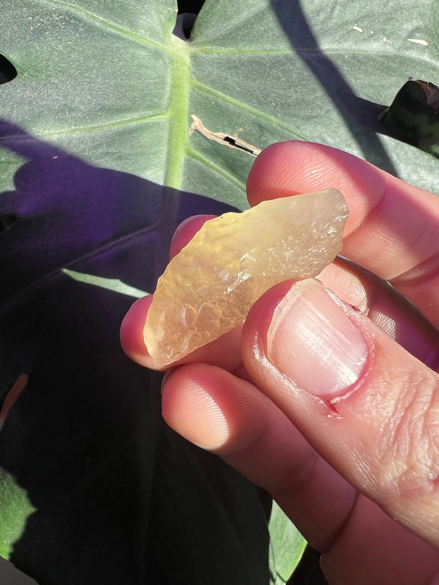 Libyan Desert Glass #B