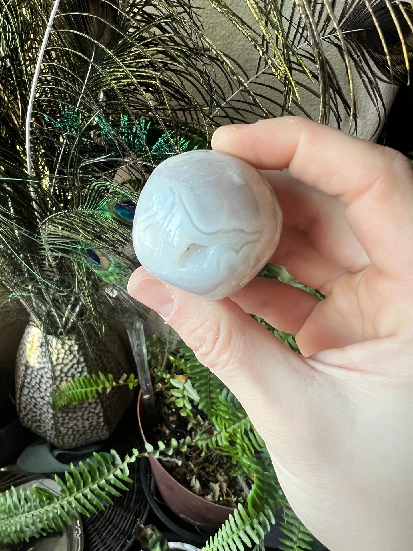 Druzy White Agate Skull