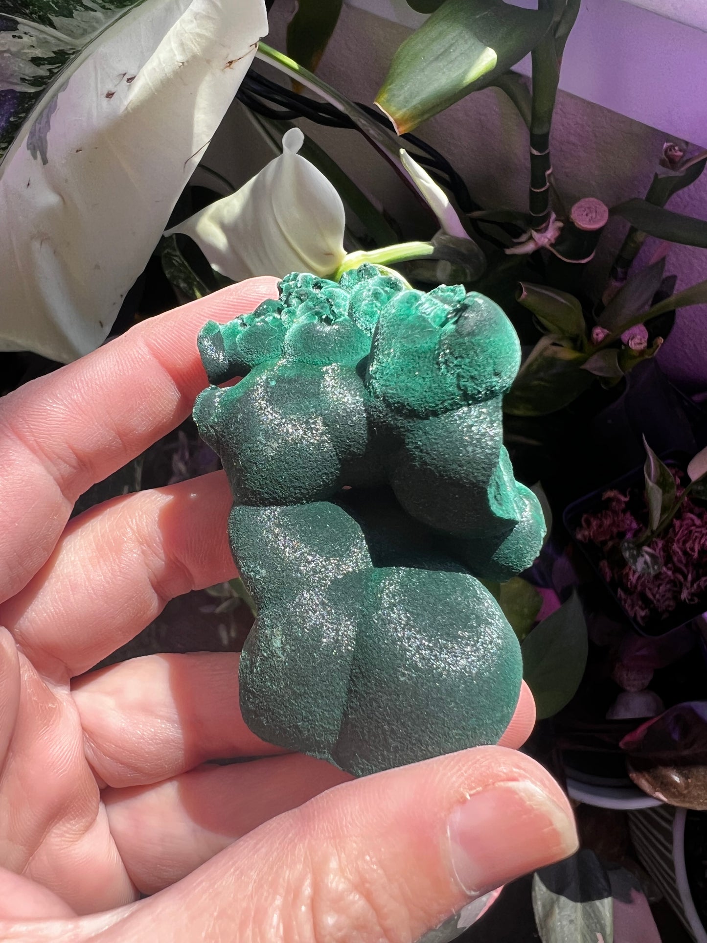 Botryoidal Velvet Fibrous Malachite #C