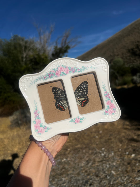 “Halfway to Forever” Butterfly Wing Framed Vintage Oddities Taxidermy Entomology Artwork