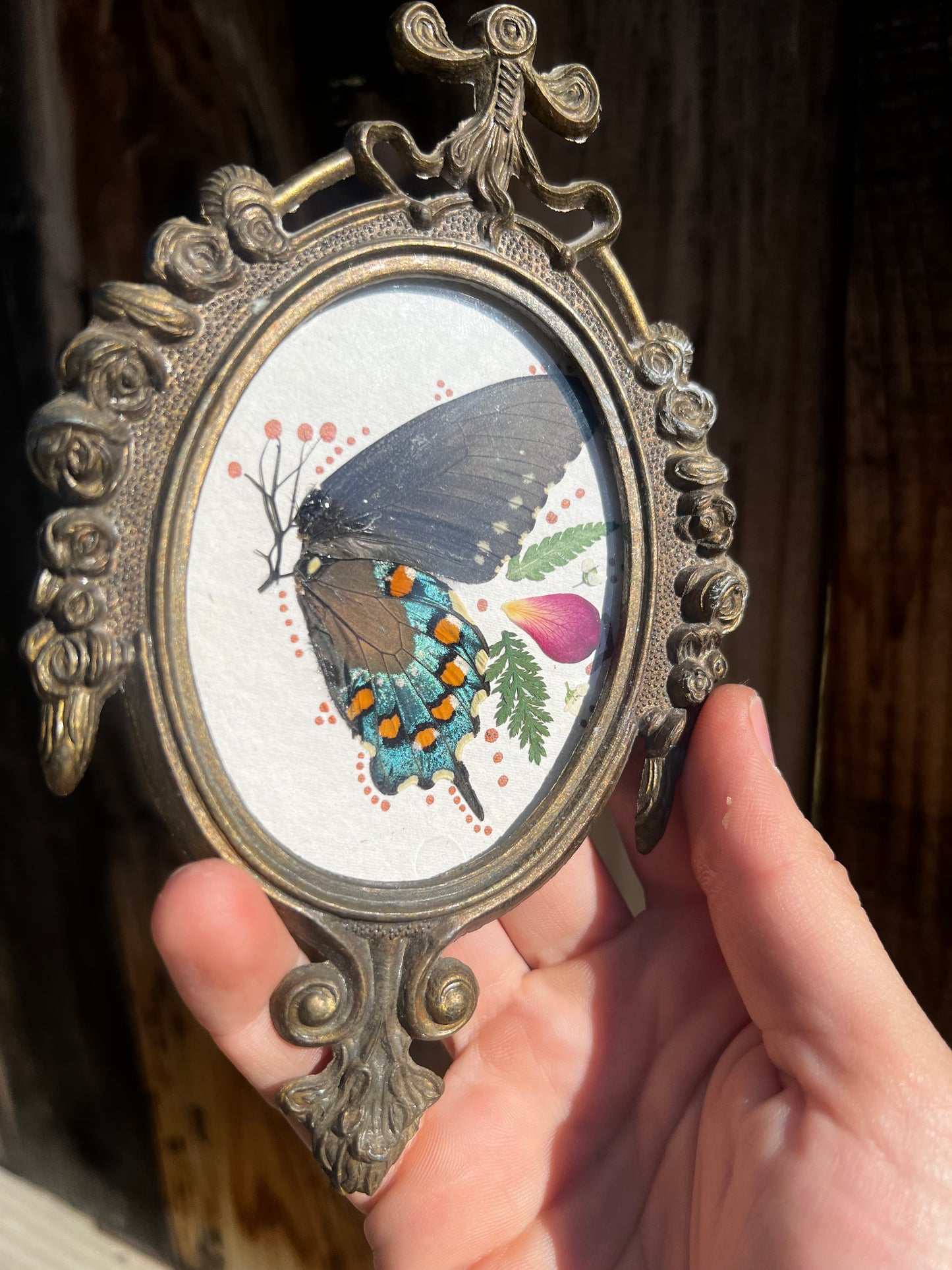 Antique Metal framed butterfly wings