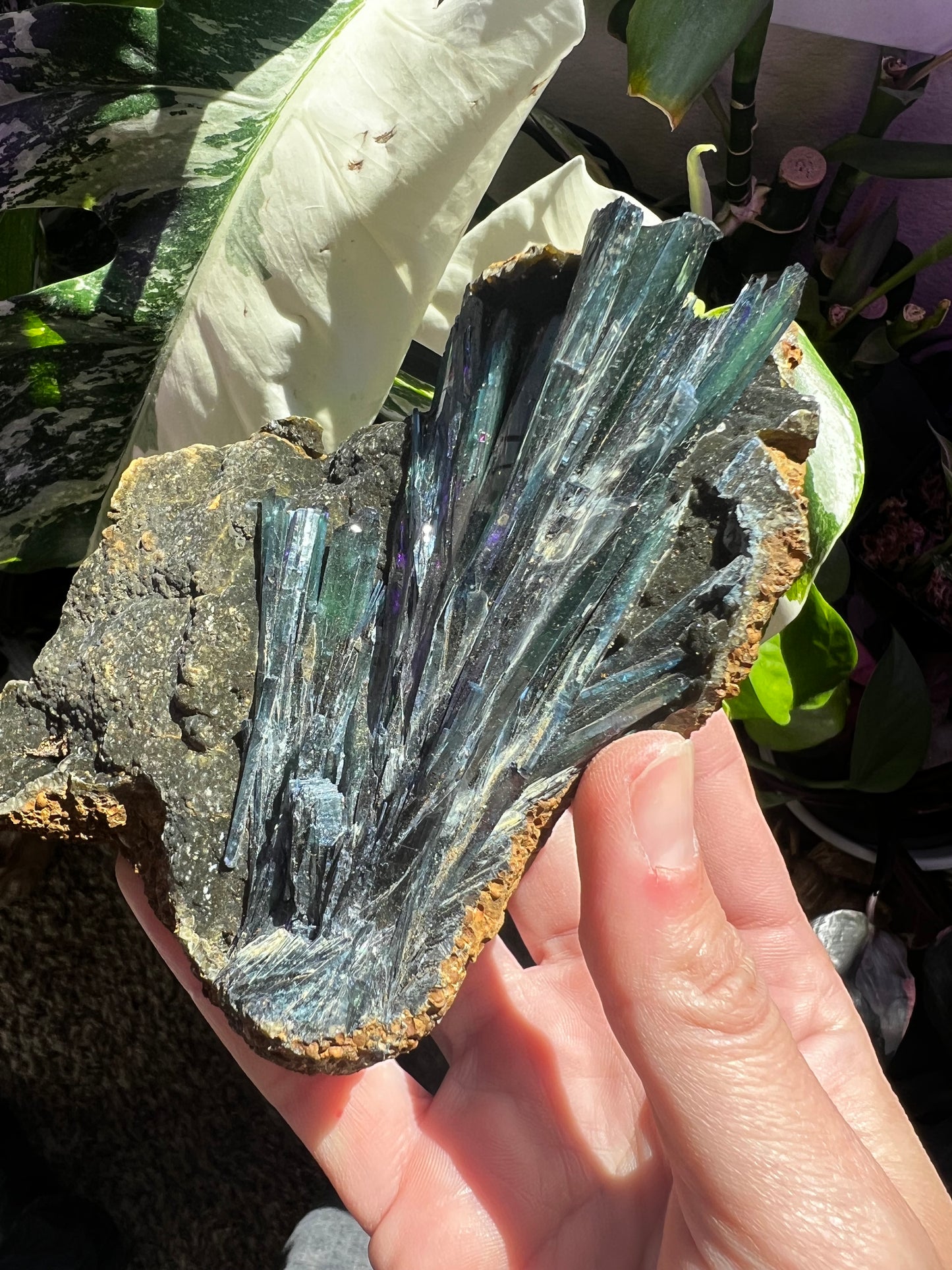 Vivianite #E