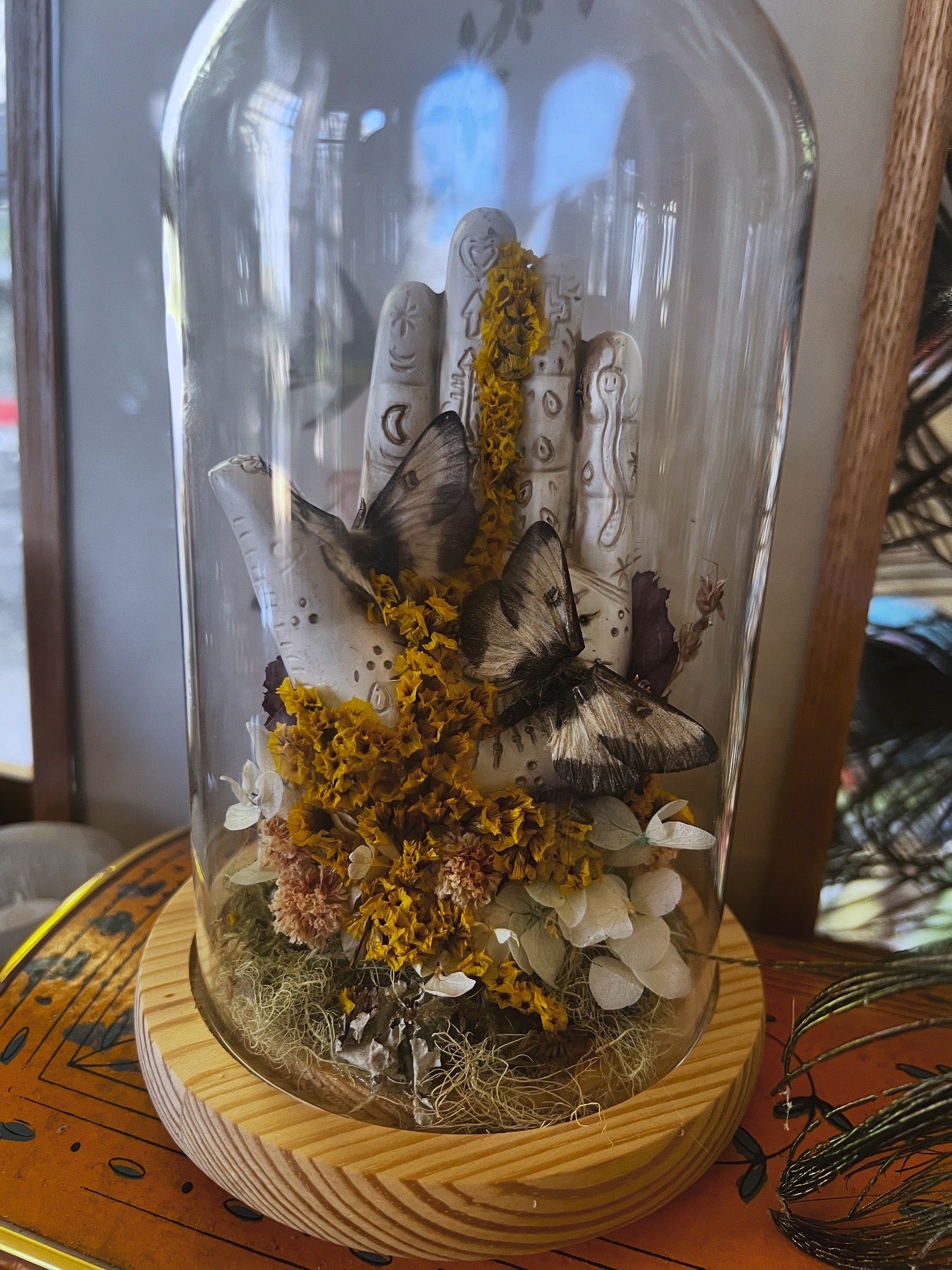 “Hiladora” Moth Oddities Witchy Taxidermy Entomology Glass Dome Artwork