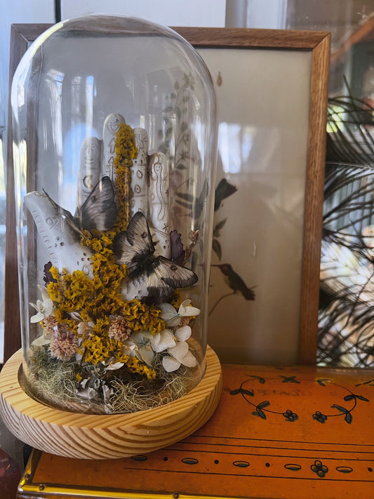 “Hiladora” Moth Oddities Witchy Taxidermy Entomology Glass Dome Artwork