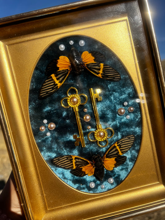 “The Gatekeeper” Cicada Insect Vintage Framed Oddities Taxidermy Entomology Artwork