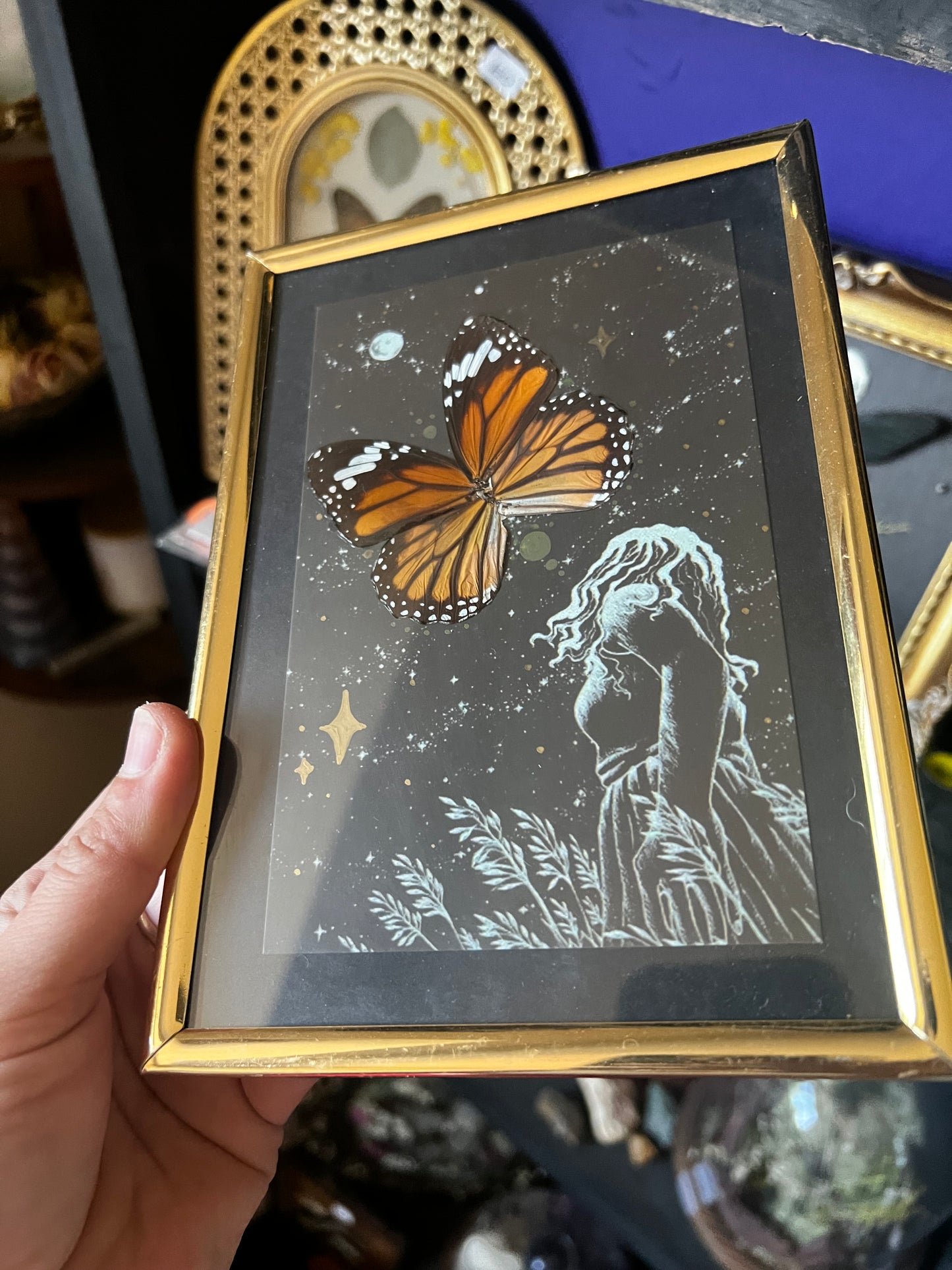 Framed Starry Sky Night Butterfly Wing Entomology Art