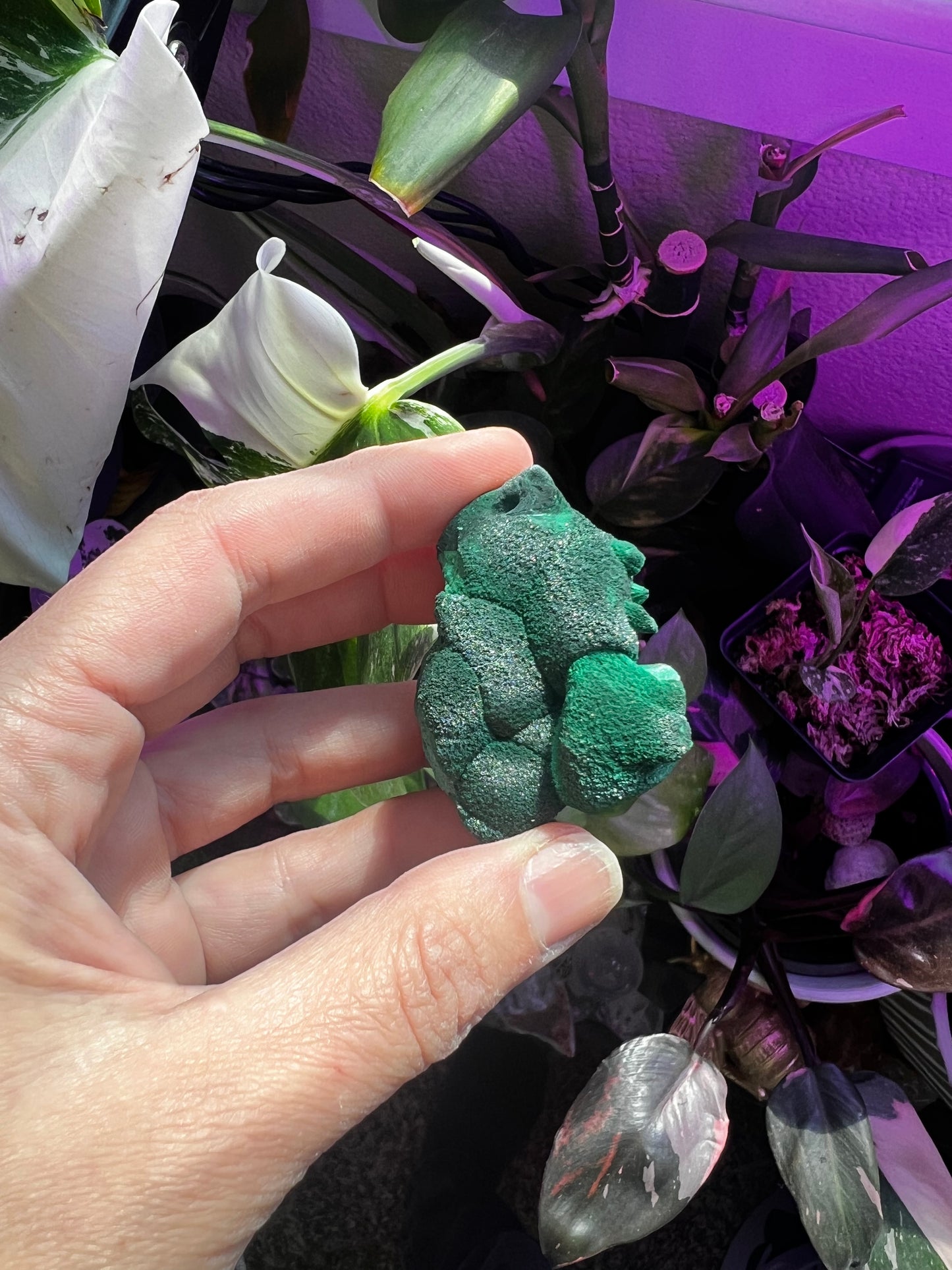 Botryoidal Velvet Fibrous Malachite #D